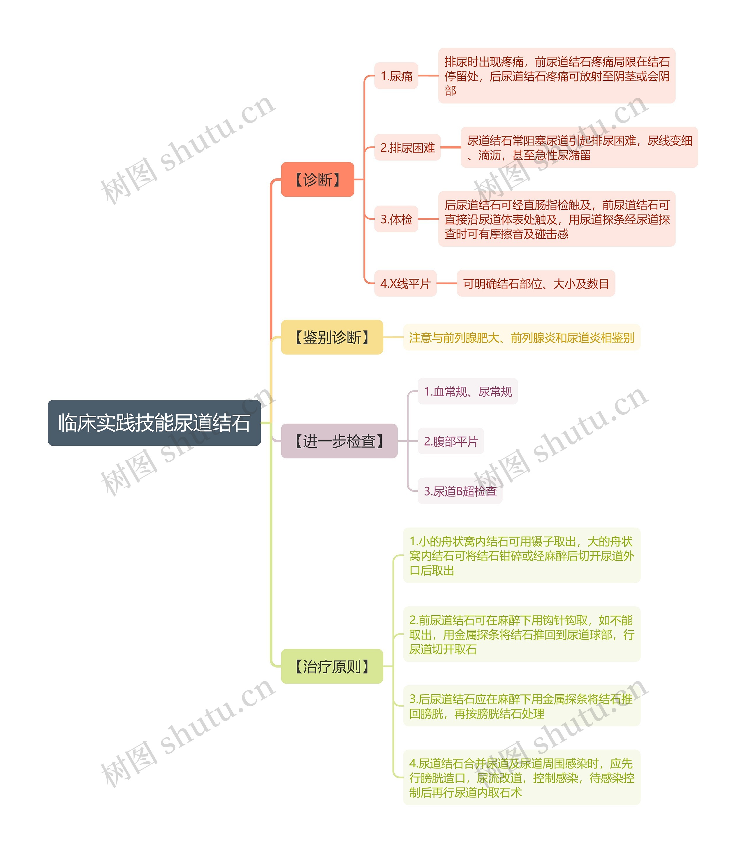 临床实践技能尿道结石思维导图