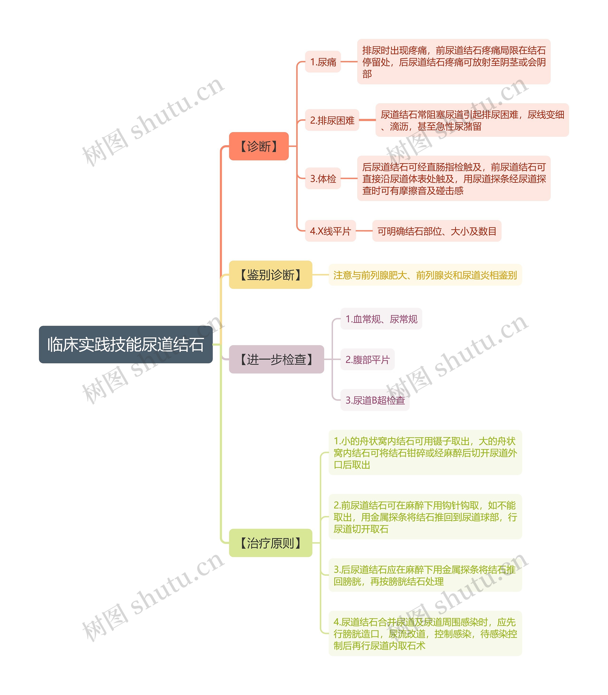 临床实践技能尿道结石思维导图 临床实践技能尿道结石思维导图