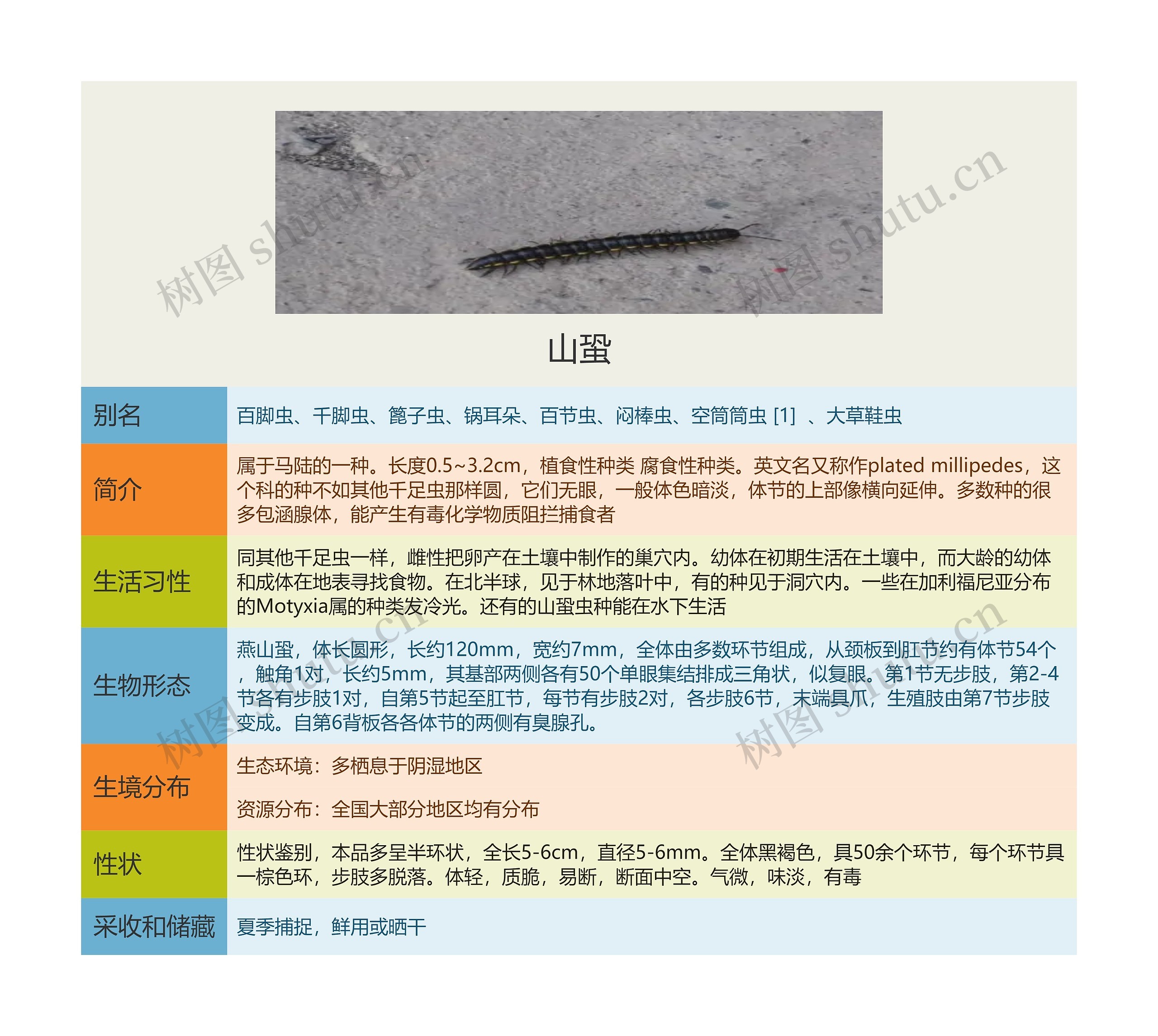 山蛩思维导图