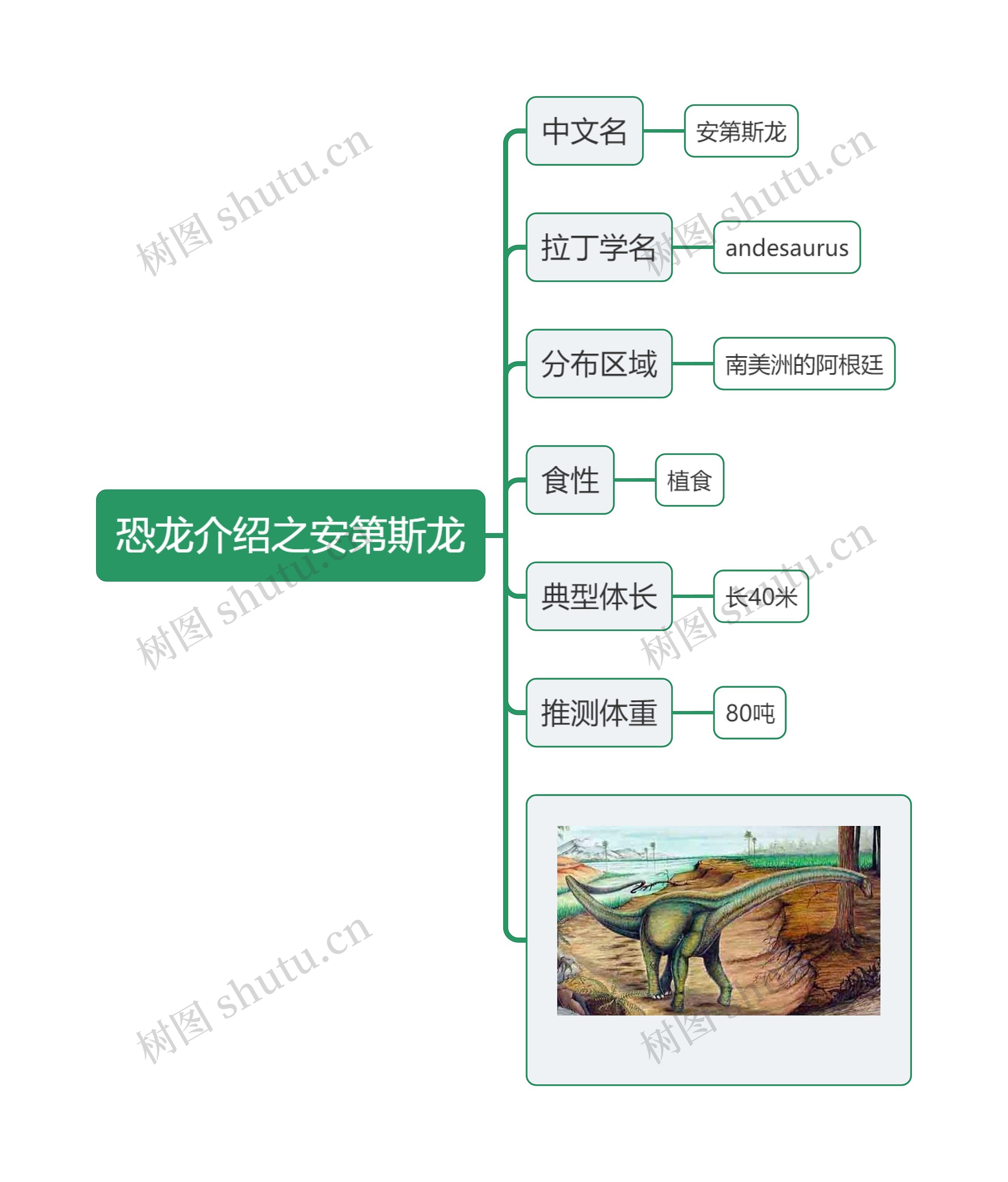 恐龙介绍之安第斯龙思维导图