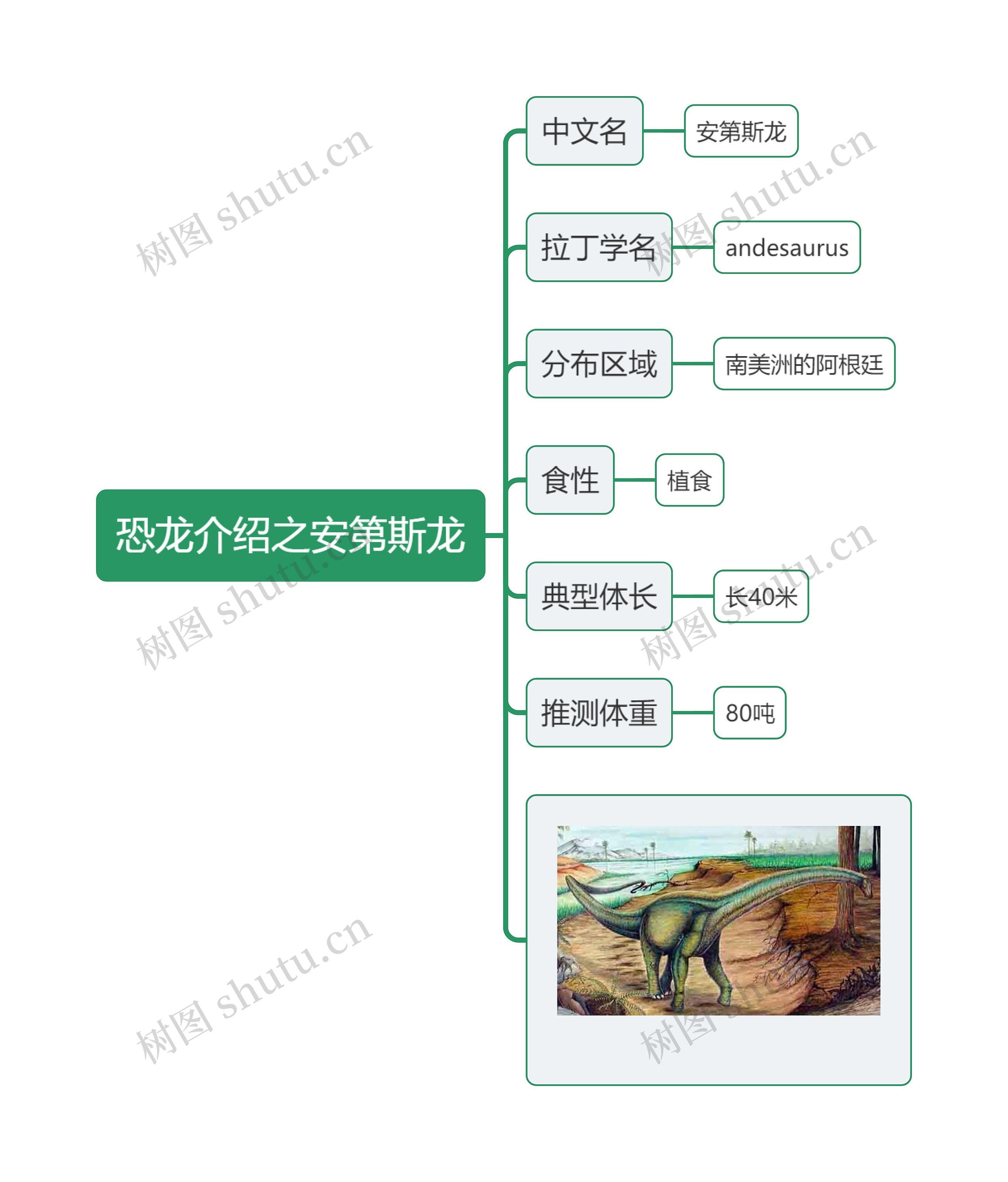 恐龙介绍之安第斯龙思维导图高清图 恐龙介绍之安第斯龙思维导图