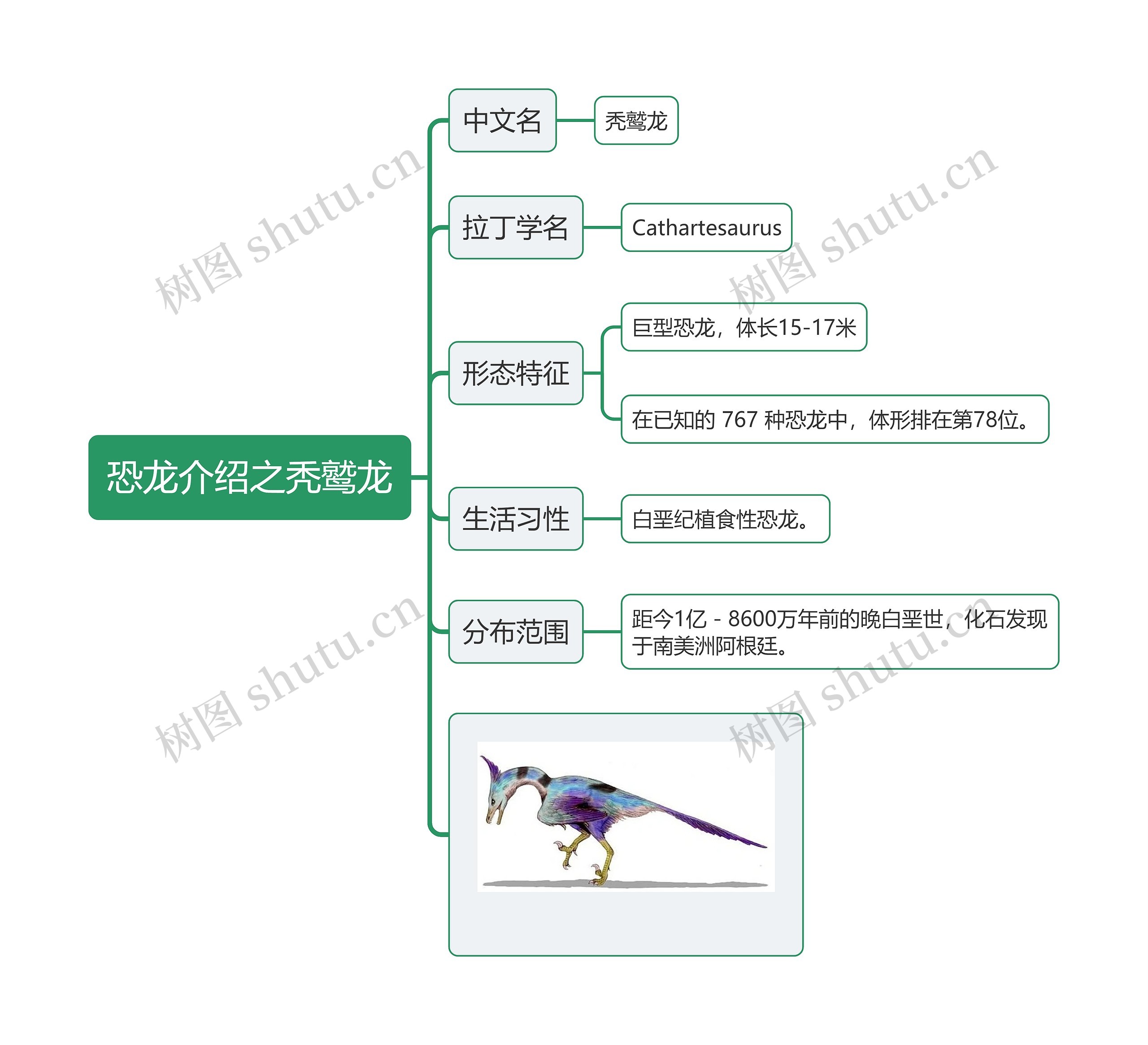 恐龙介绍之秃鹫龙思维导图