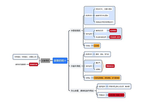 新斯的明思维导图