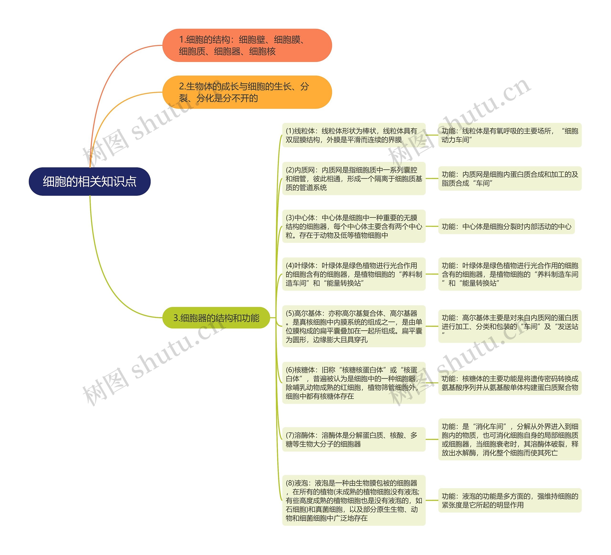 细胞的相关知识点思维导图