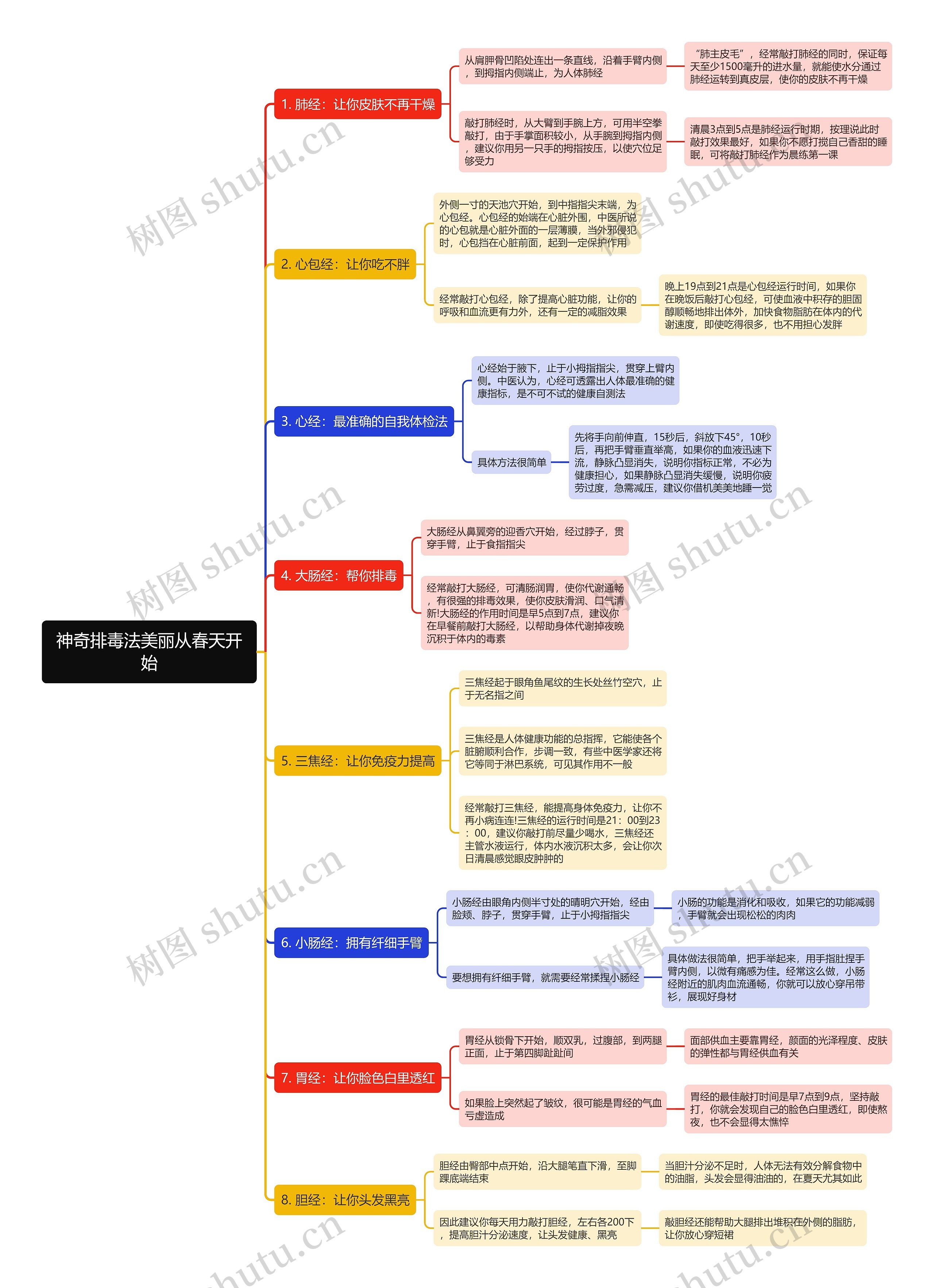 神奇排毒法美丽从春天开始思维导图