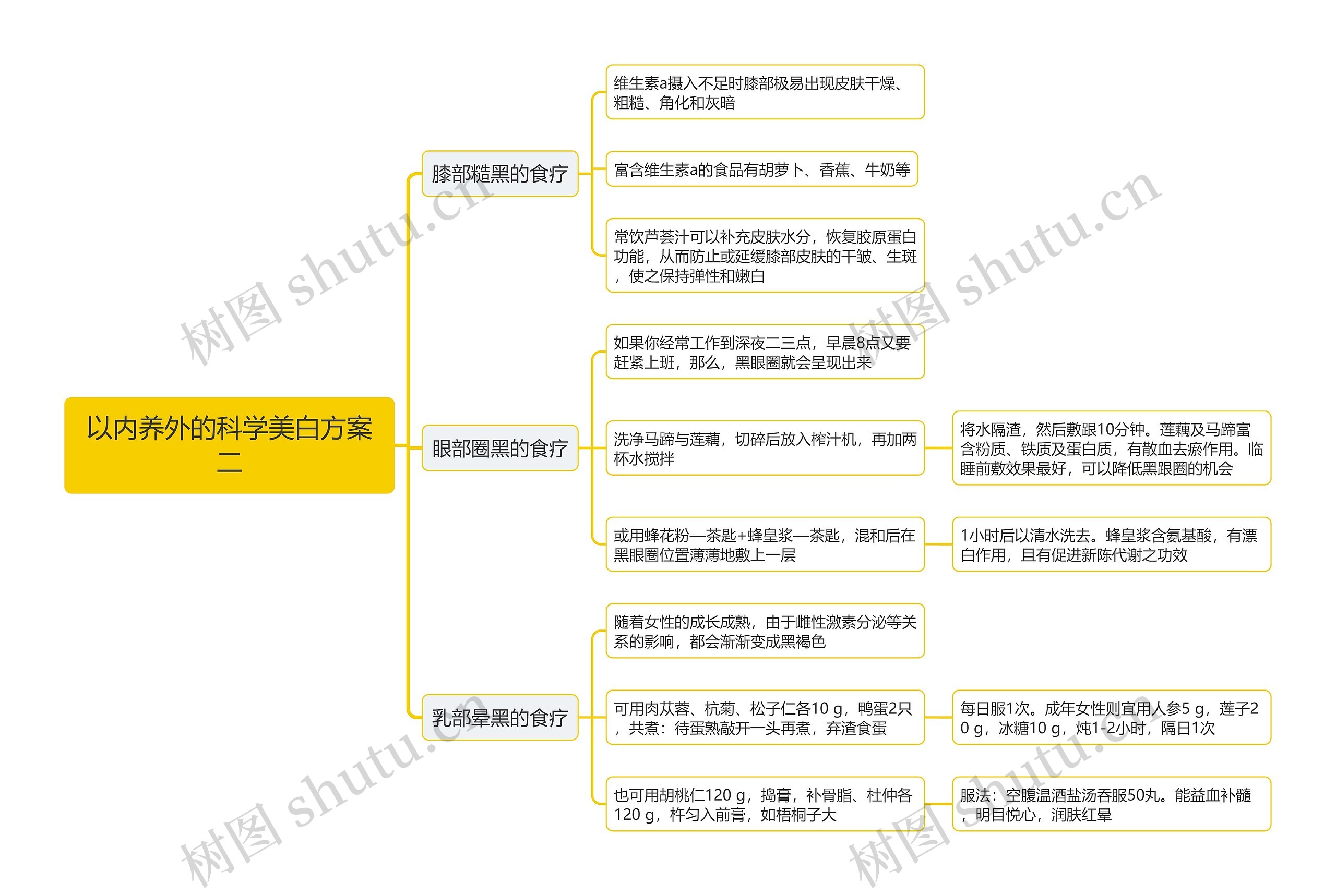 以内养外的科学美白方案二思维导图