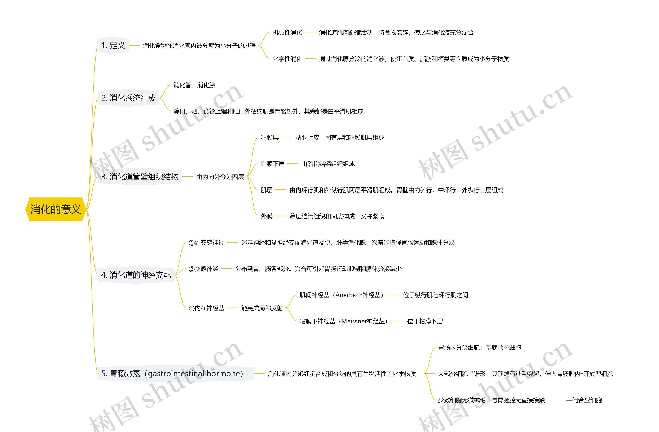 消化的意义思维导图