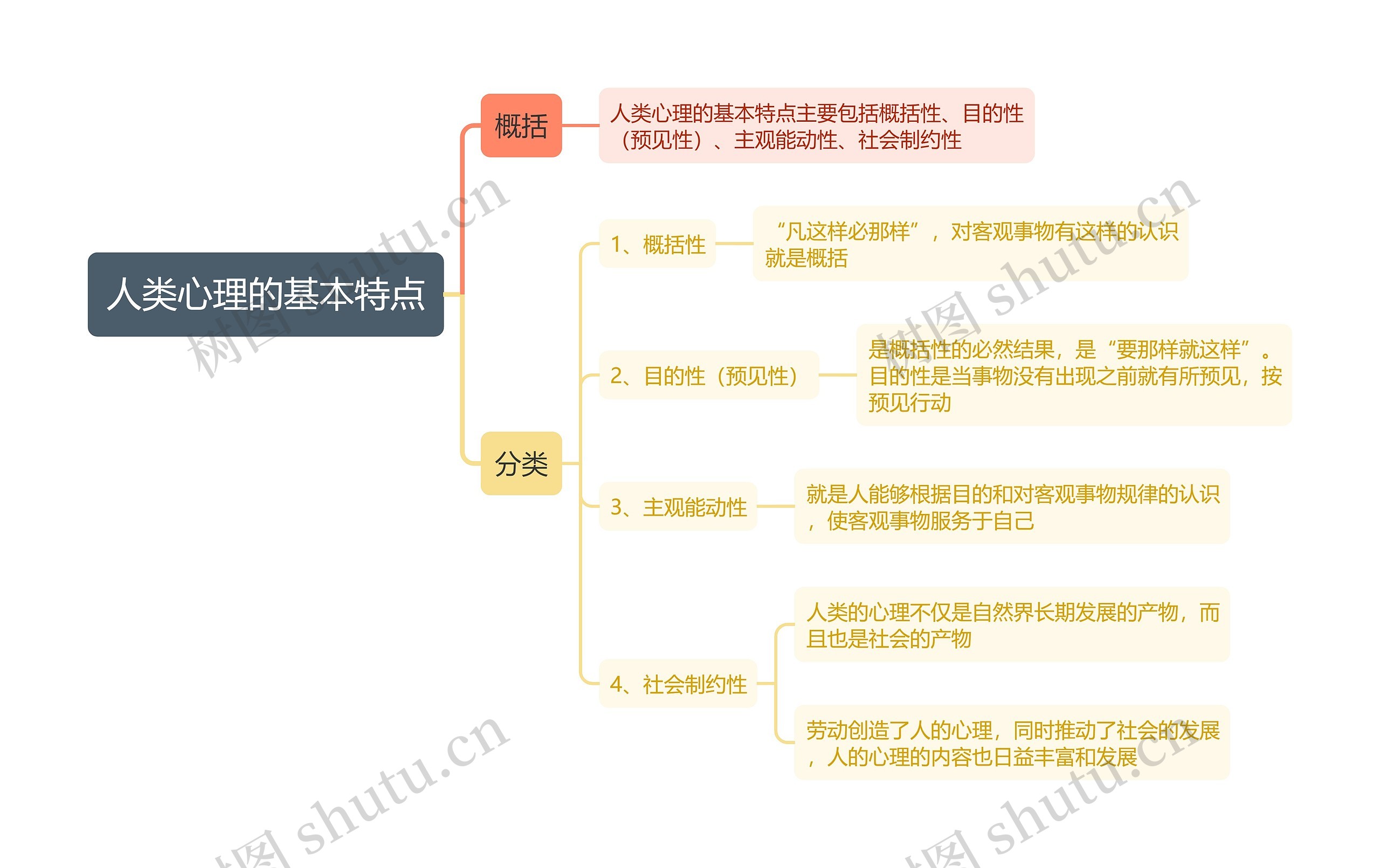 人类心理的基本特点思维导图