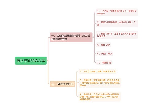 医学考试RNA合成思维导图