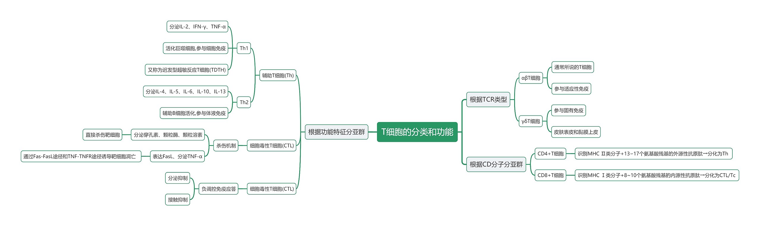 T细胞的分类和功能思维导图