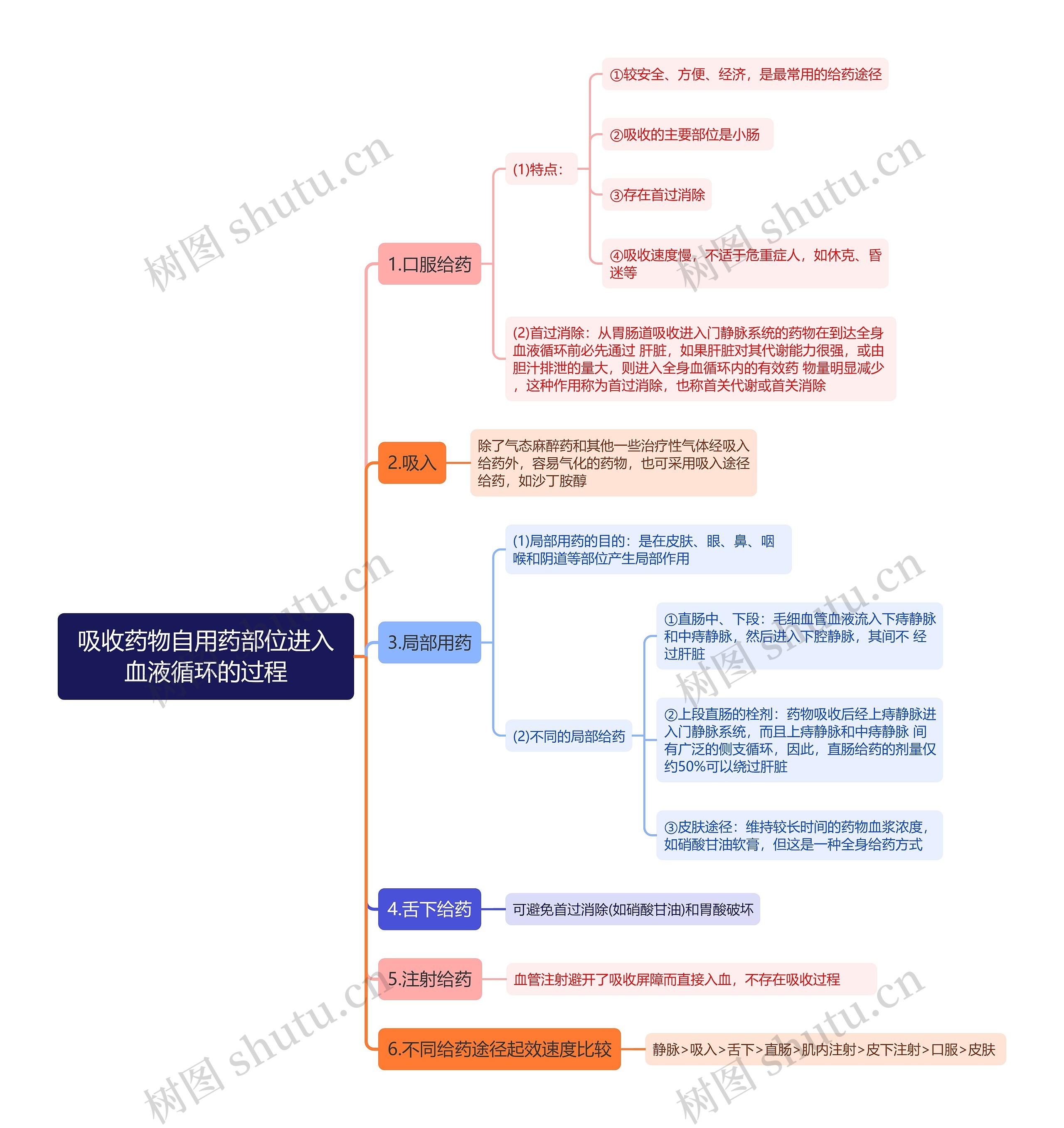 吸收药物自用药部位进入血液循环的过程思维导图