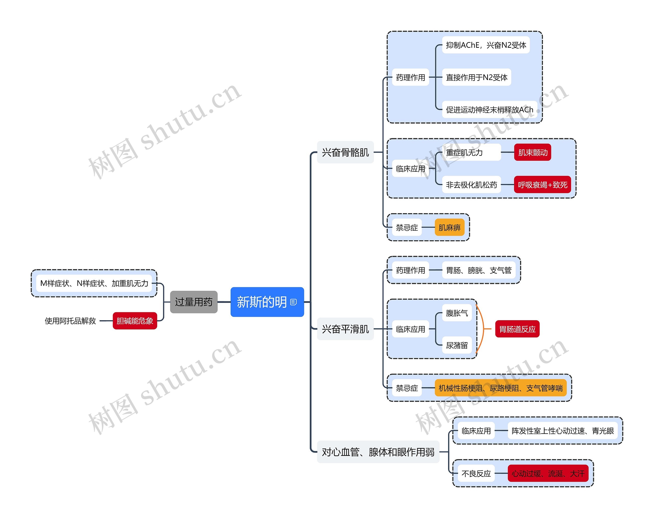 新斯的明思维导图