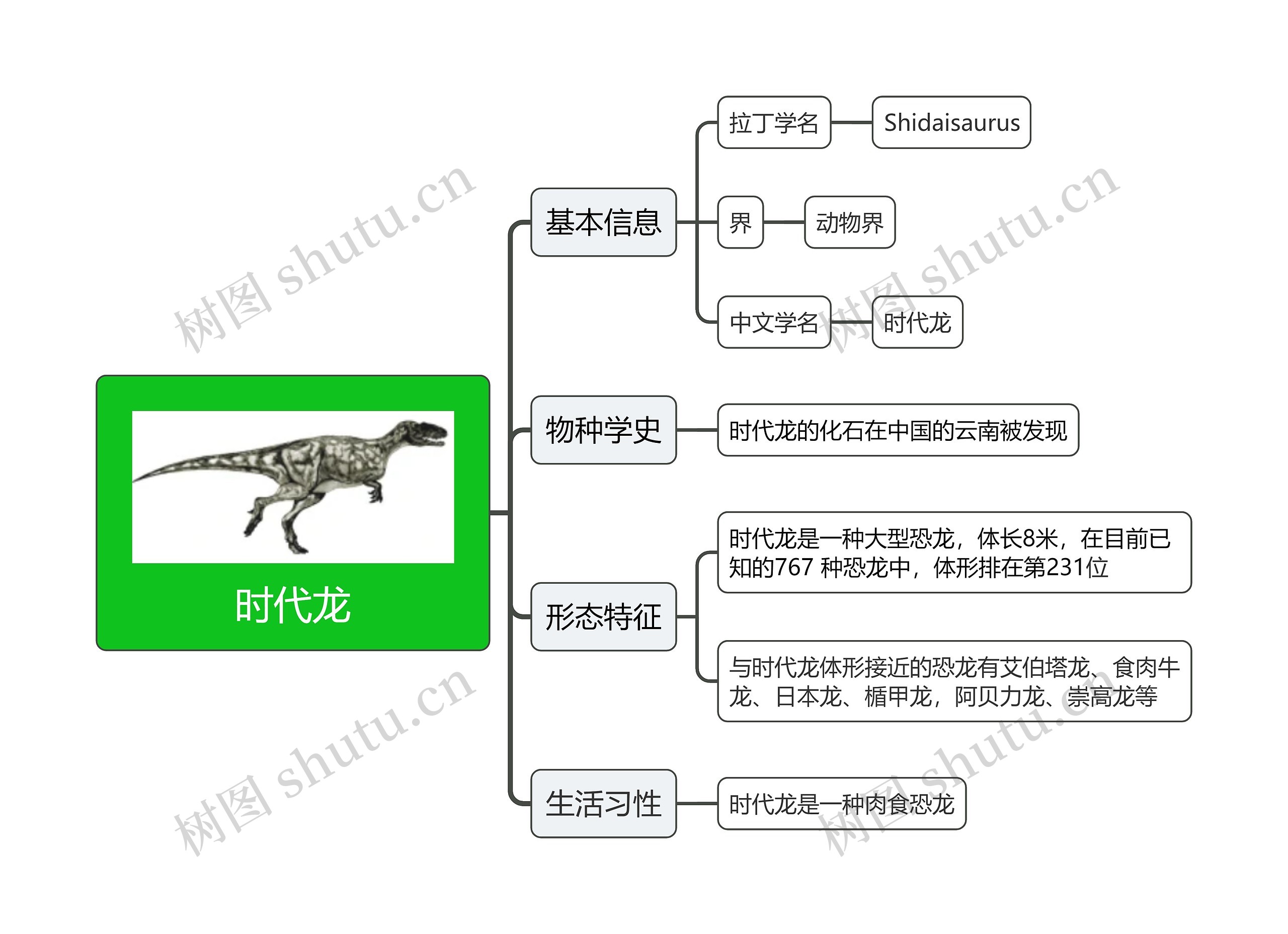 时代龙思维导图