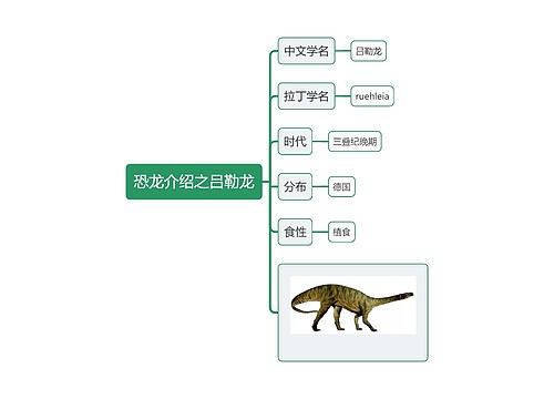 恐龙介绍之吕勒龙思维导图