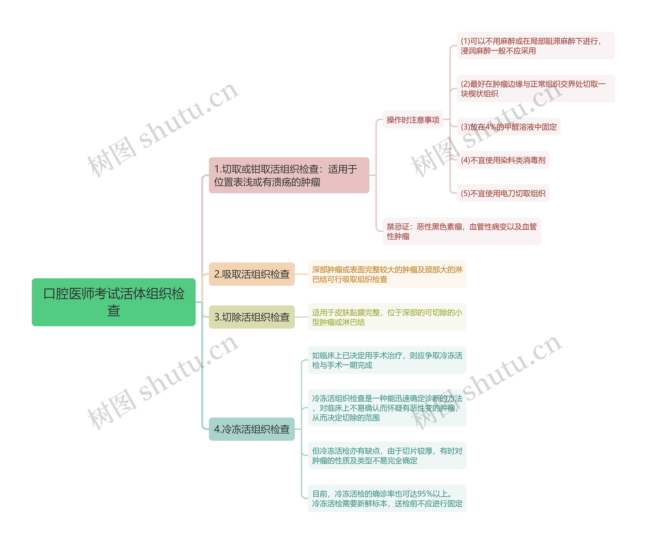 口腔医师考试活体组织检查思维导图