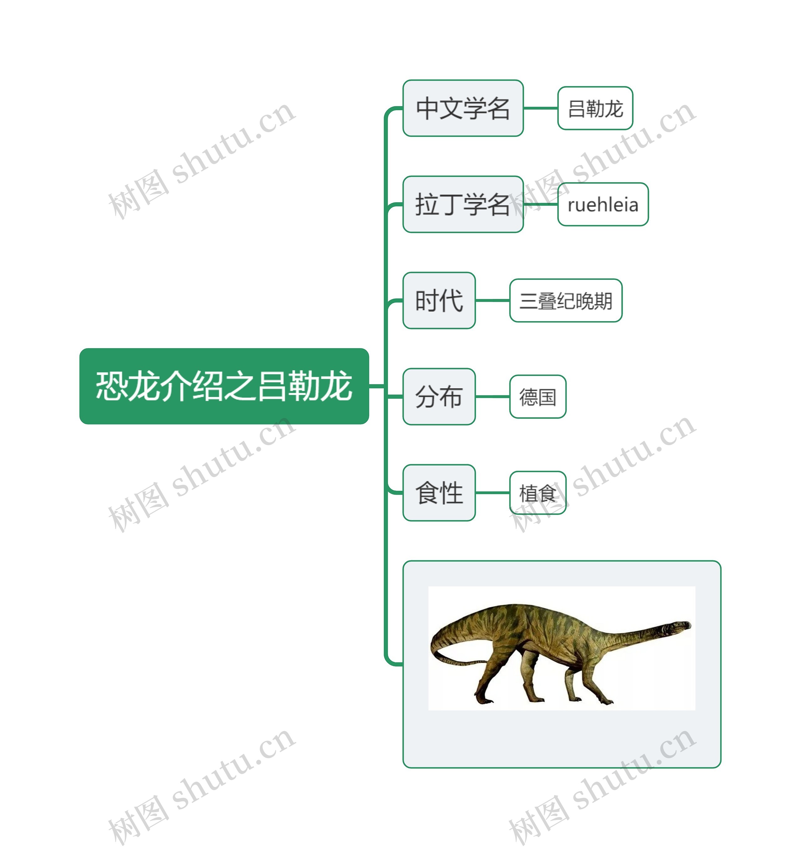 恐龙介绍之吕勒龙思维导图