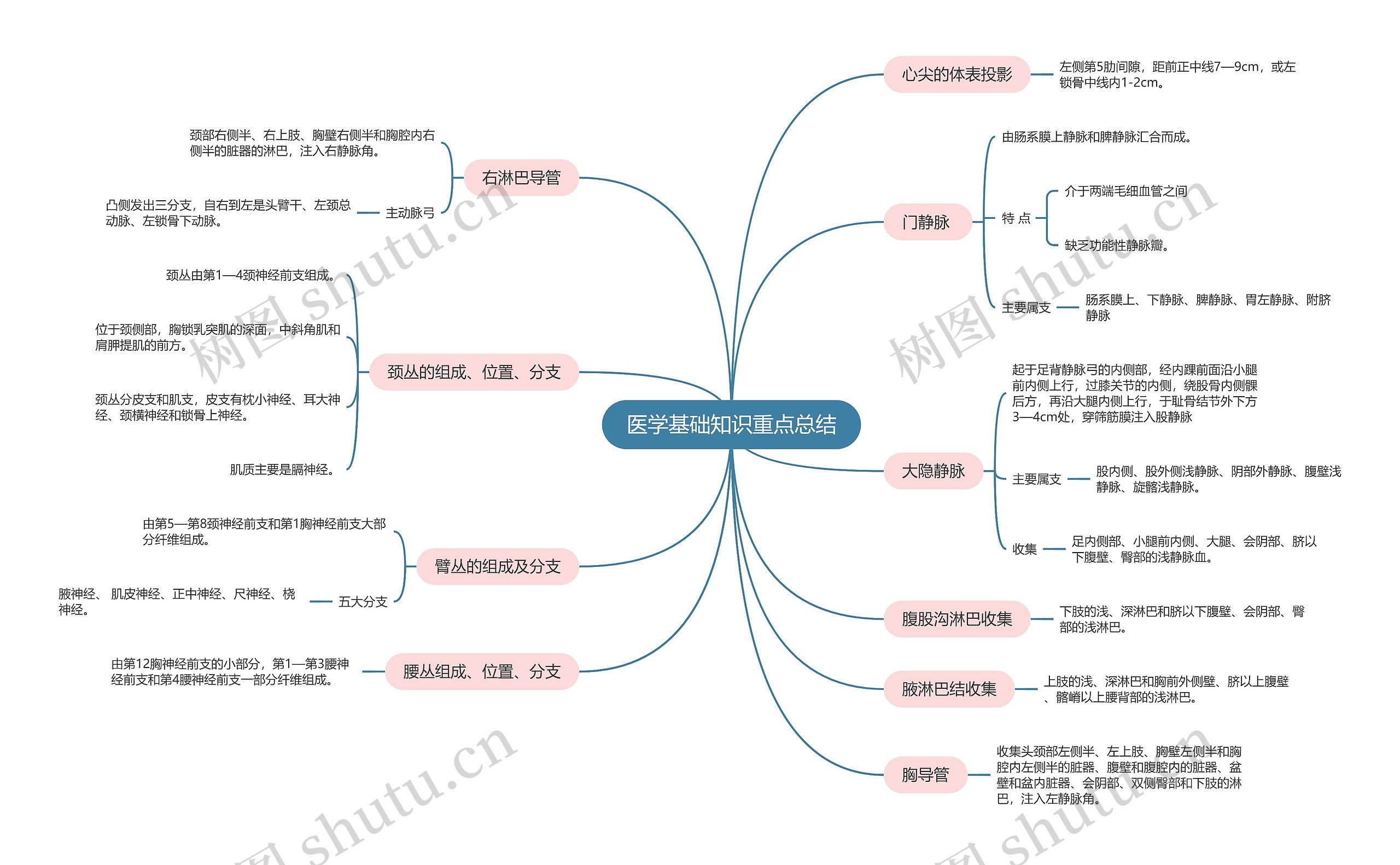 医学基础知识重点总结思维导图高清图 医学基础知识重点总结思维导图