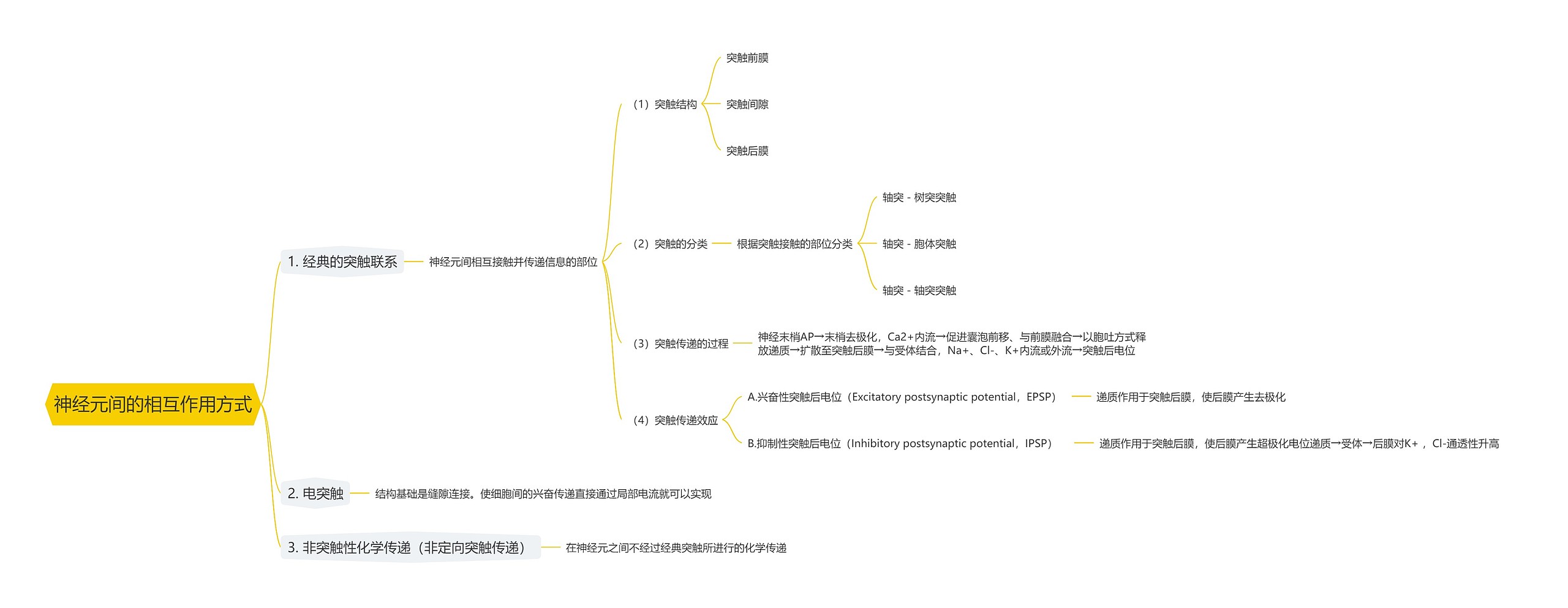 神经元间的相互作用方式思维导图