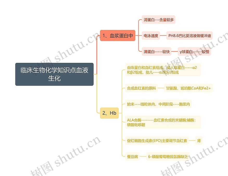 临床生物化学知识点血液生化思维导图_编号t389317-TreeMind树图