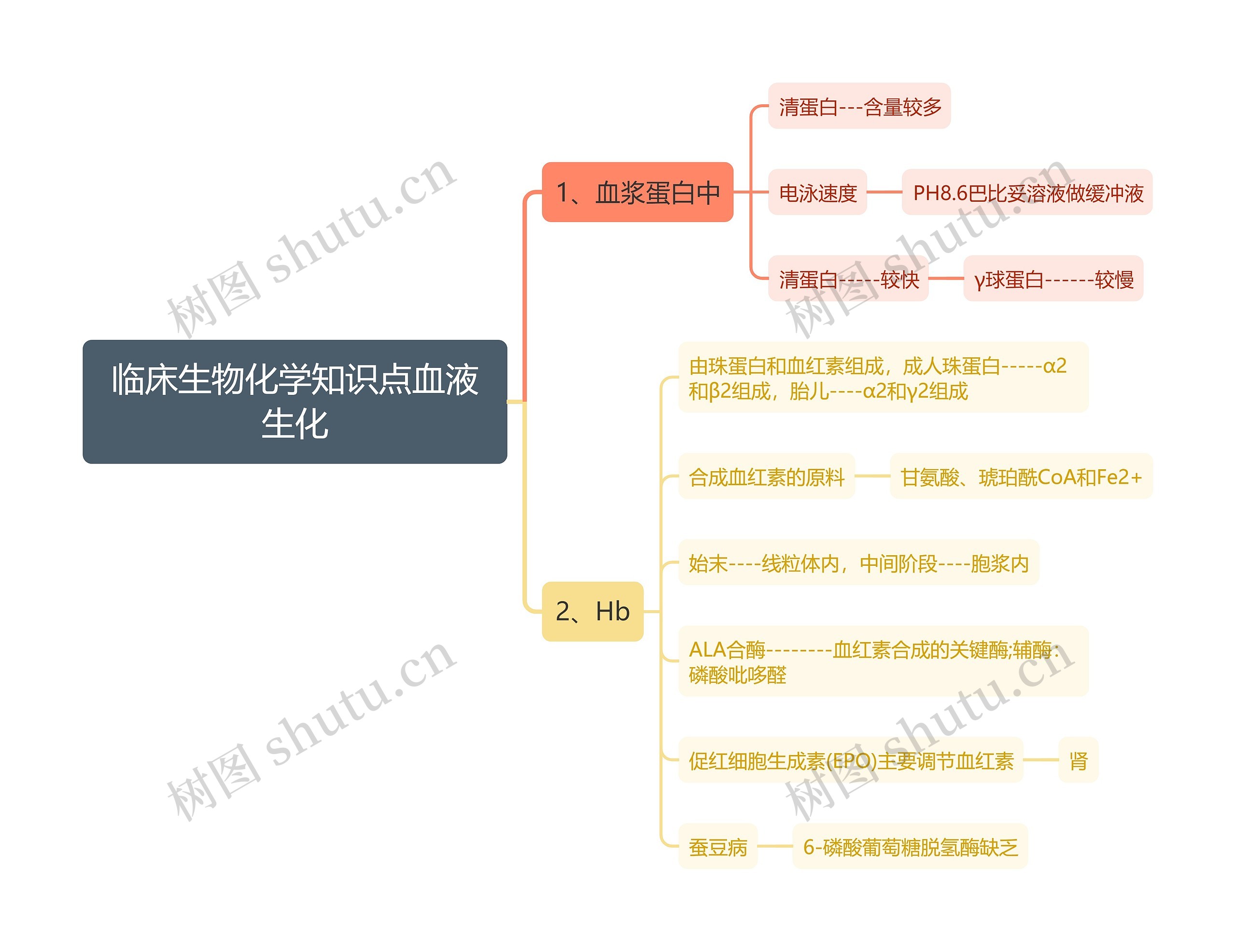 临床生物化学知识点血液生化思维导图