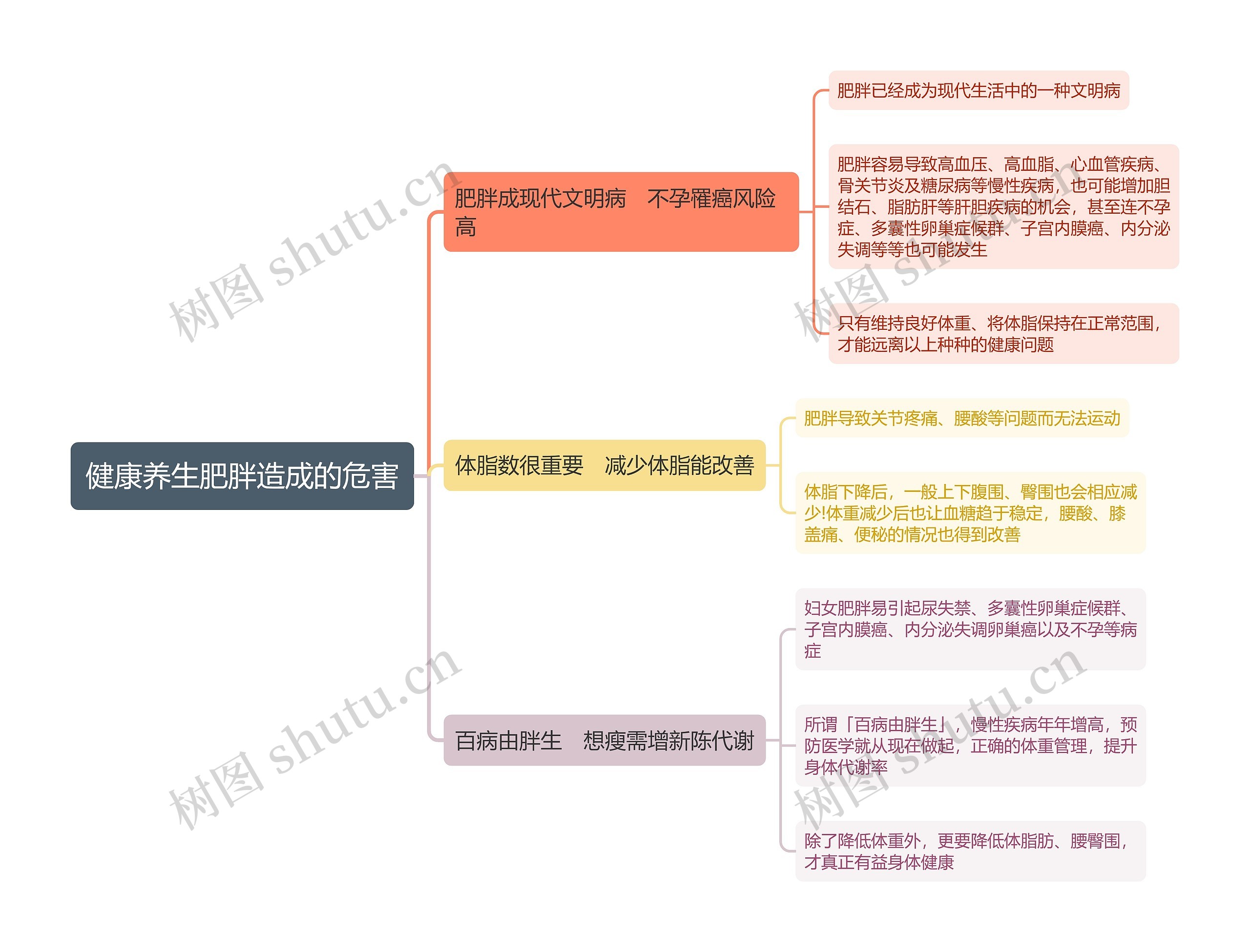 健康养生肥胖造成的危害思维导图