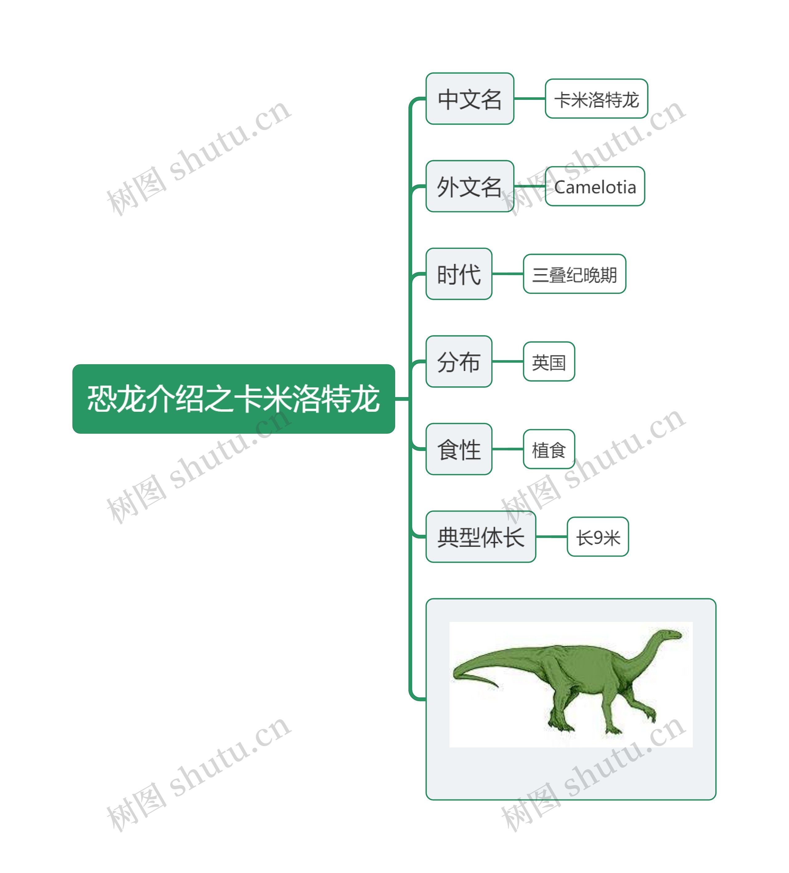 恐龙介绍之卡米洛特龙思维导图