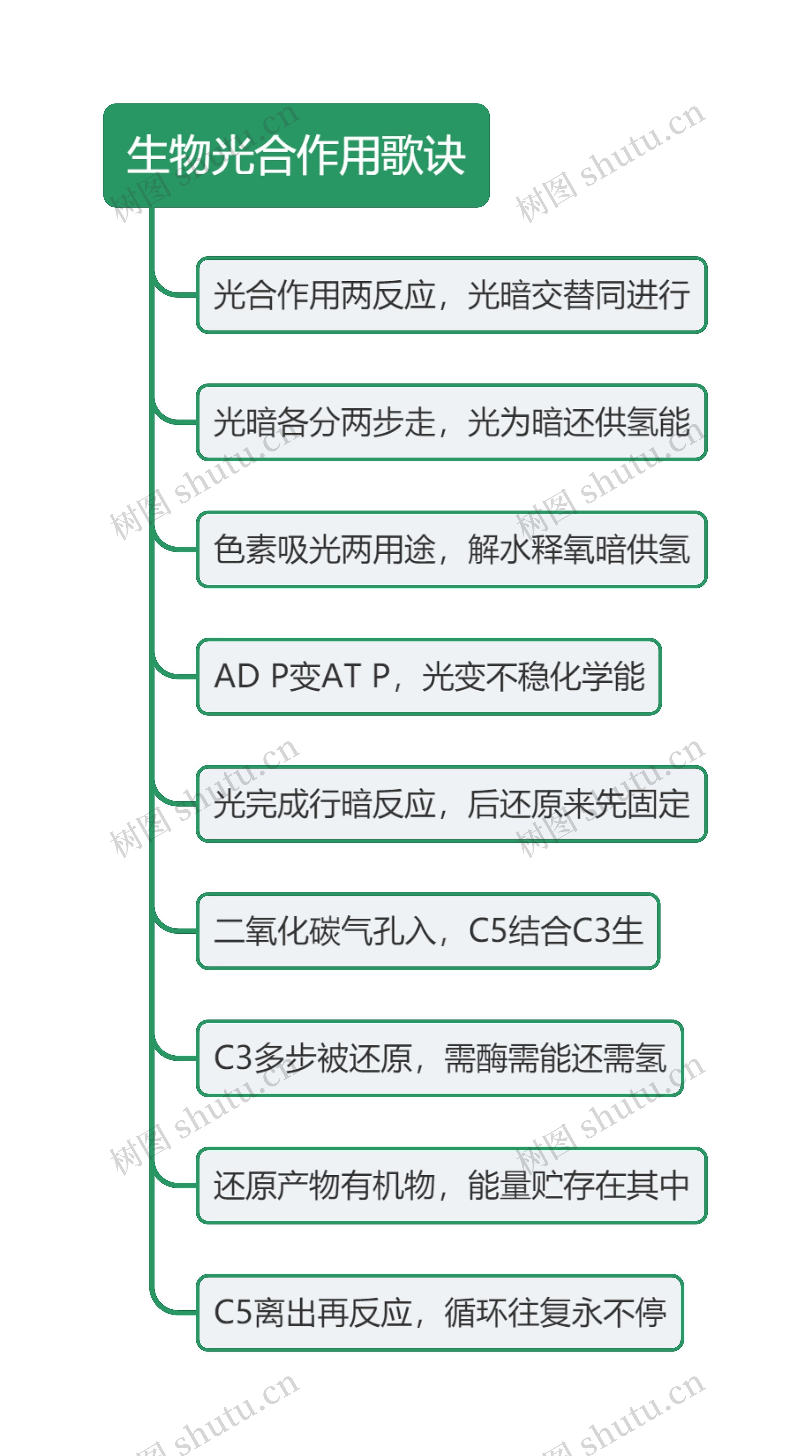 生物光合作用歌诀思维导图