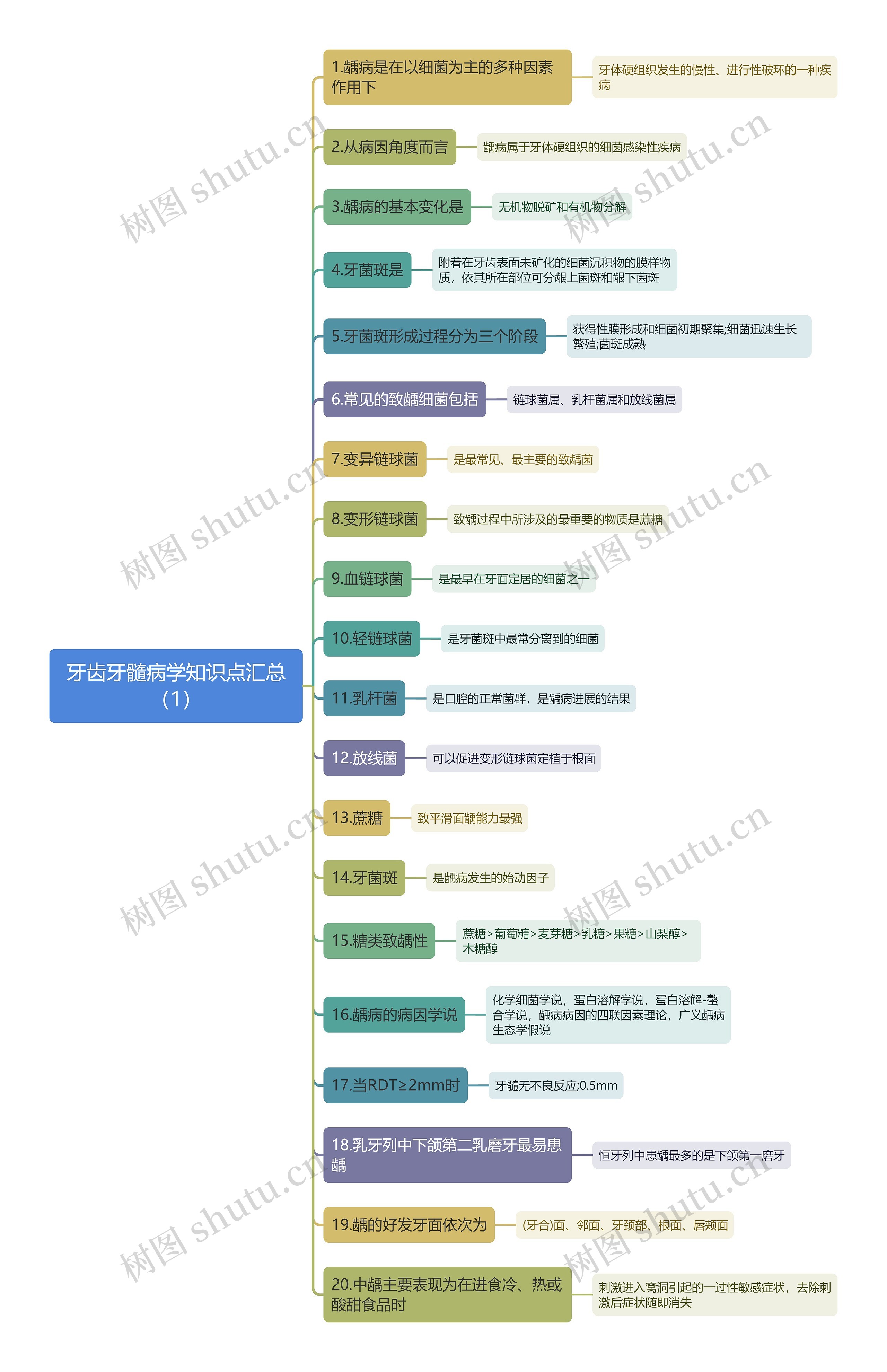 牙齿牙髓病学知识点汇总（1）思维导图