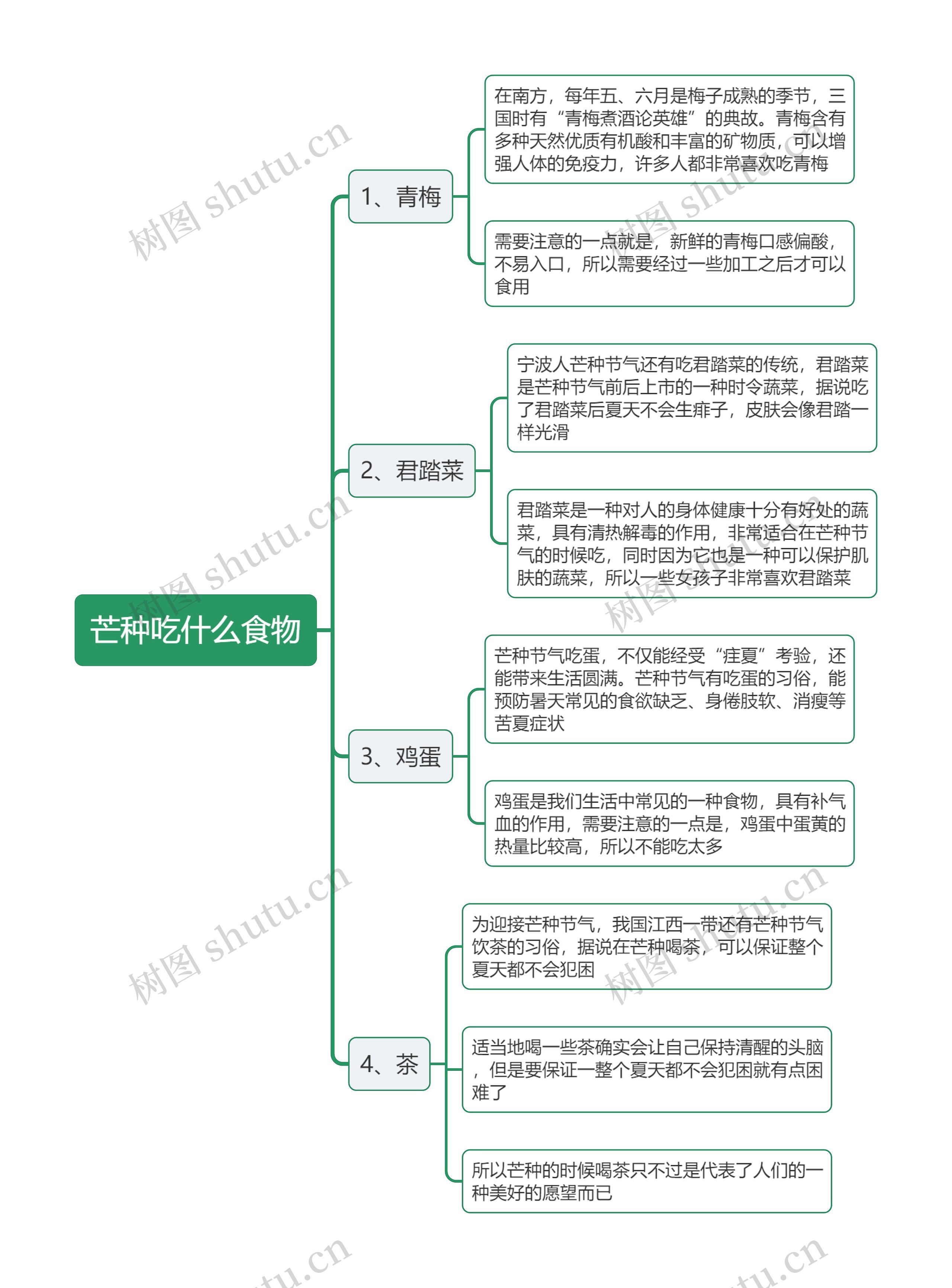 芒种吃什么食物思维导图