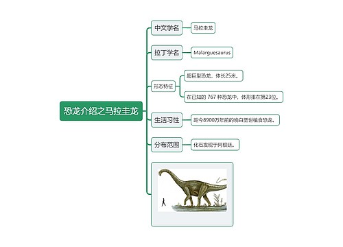 恐龙介绍之马拉圭龙思维导图
