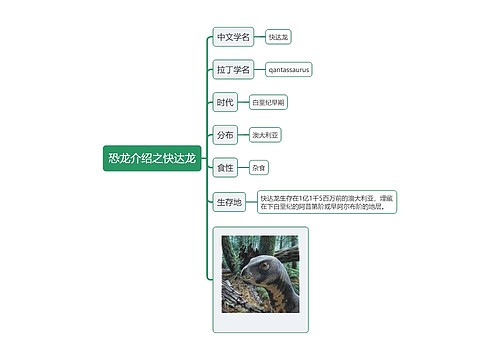 恐龙介绍之快达龙思维导图