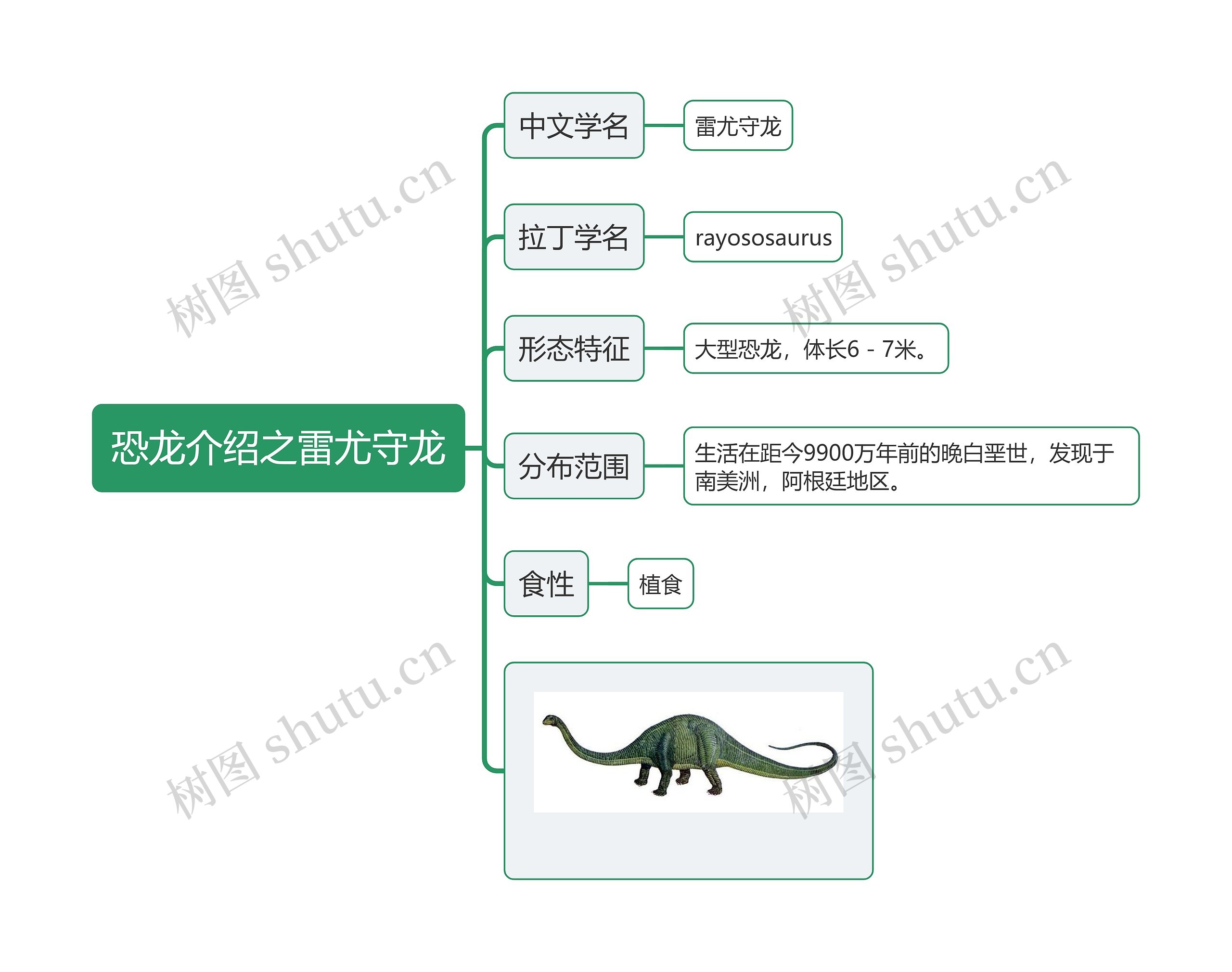 恐龙介绍之雷尤守龙思维导图