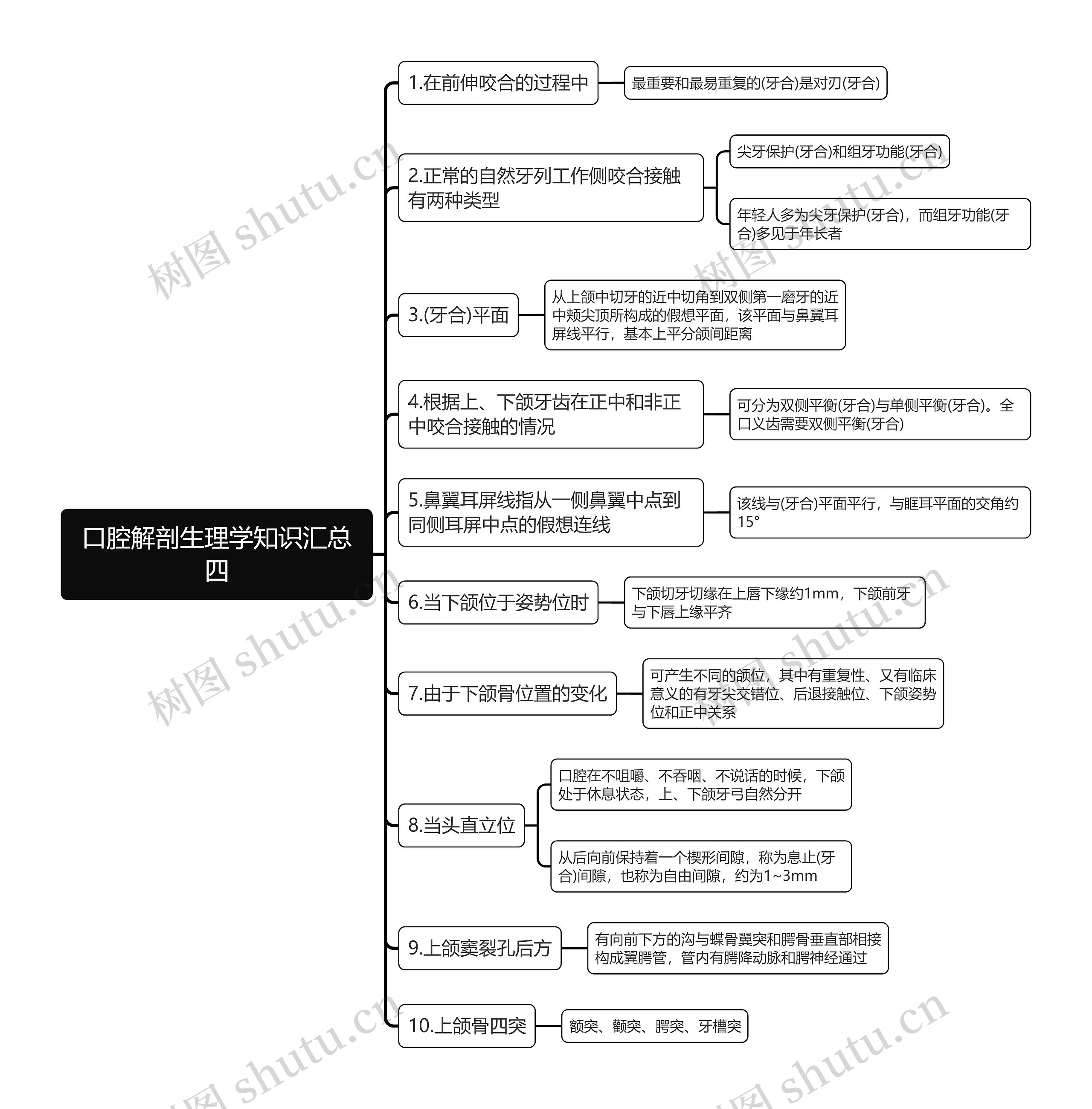 口腔解剖生理学知识汇总四思维导图