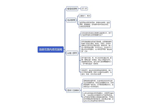 油菜花国内观花指南思维导图