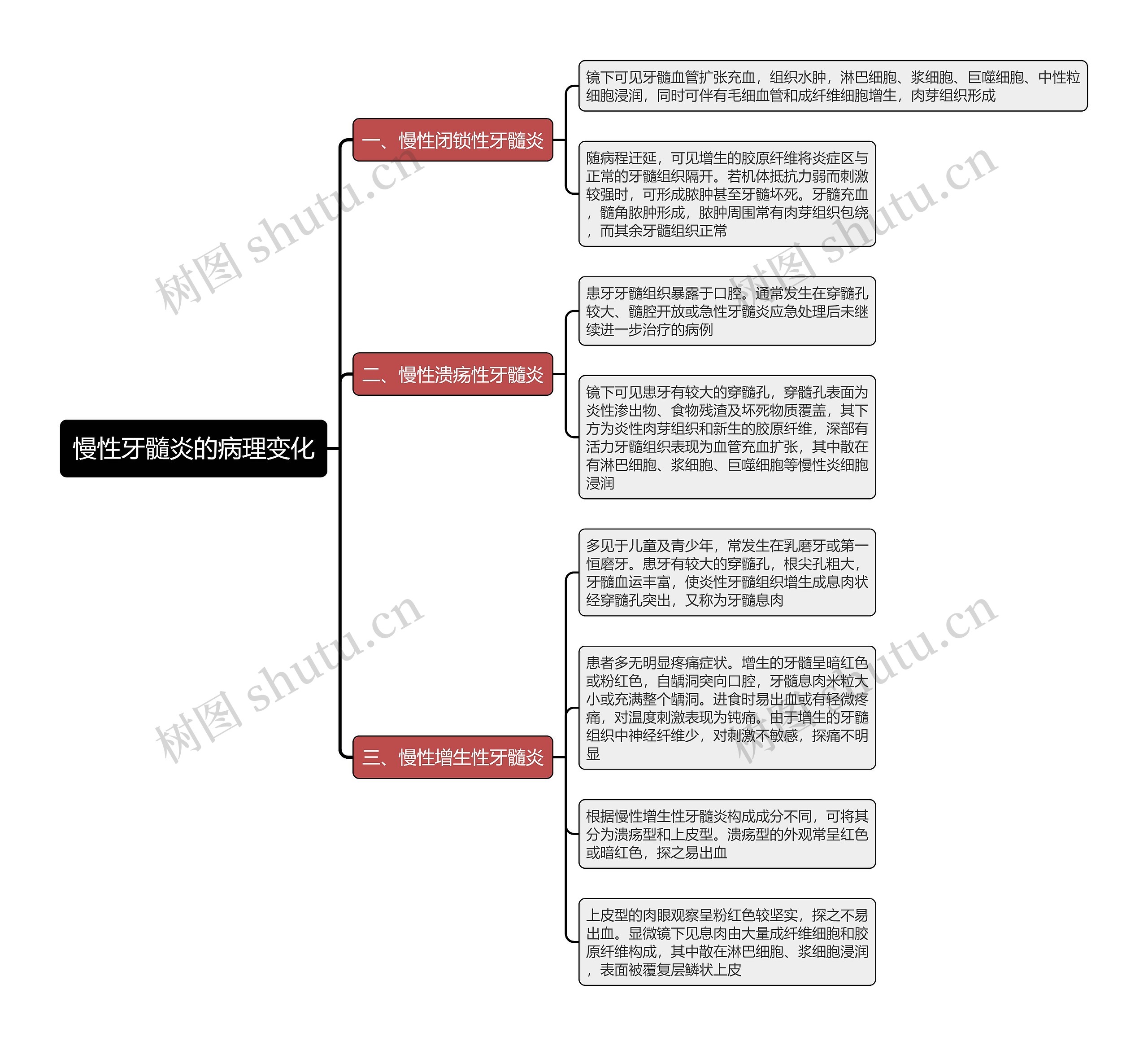 慢性牙髓炎的病理变化思维导图