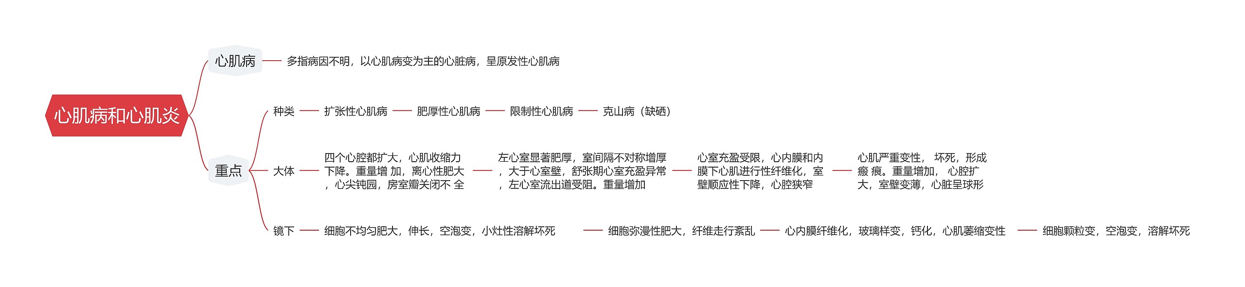 心肌病和心肌炎思维导图