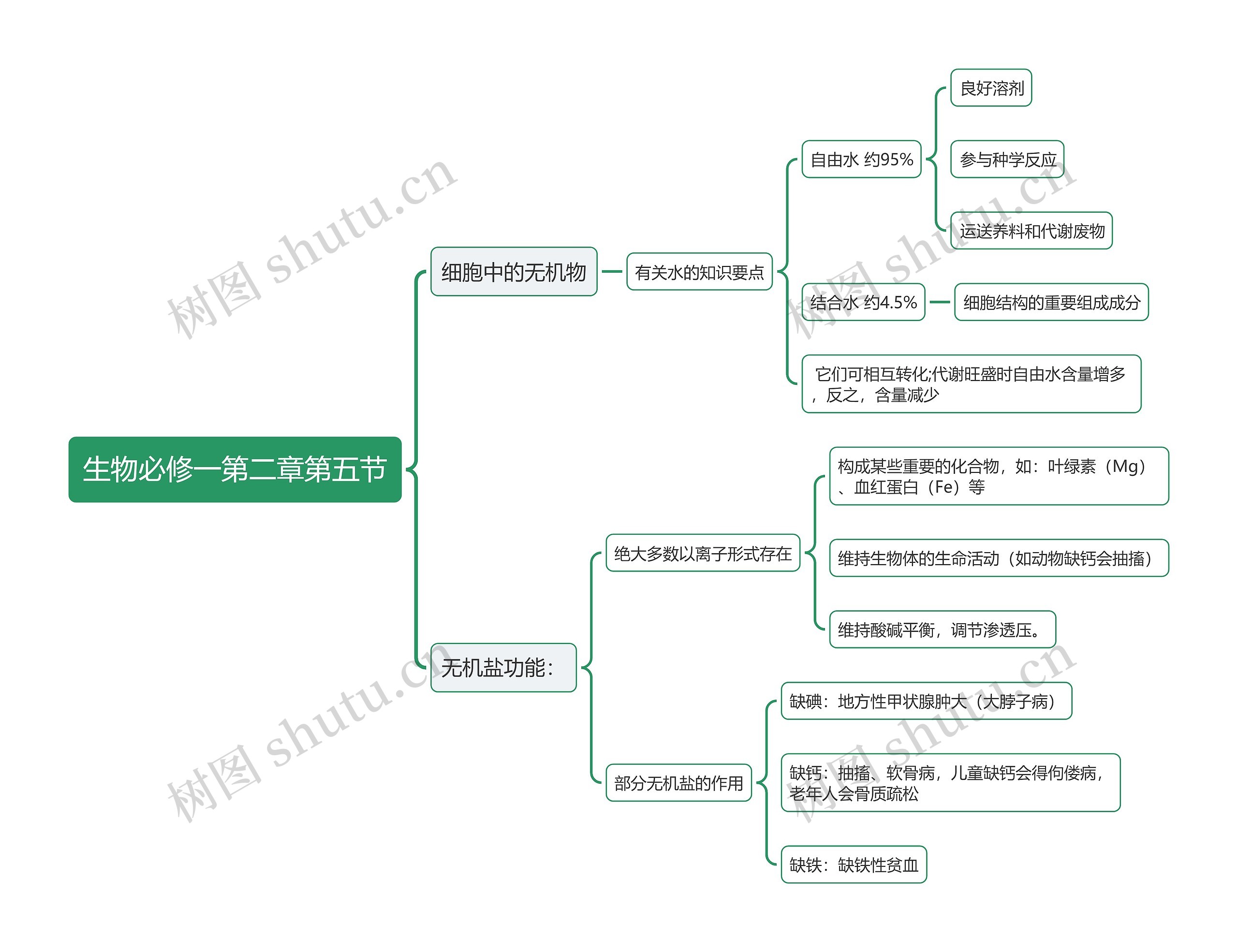 生物必修一第二章第五节