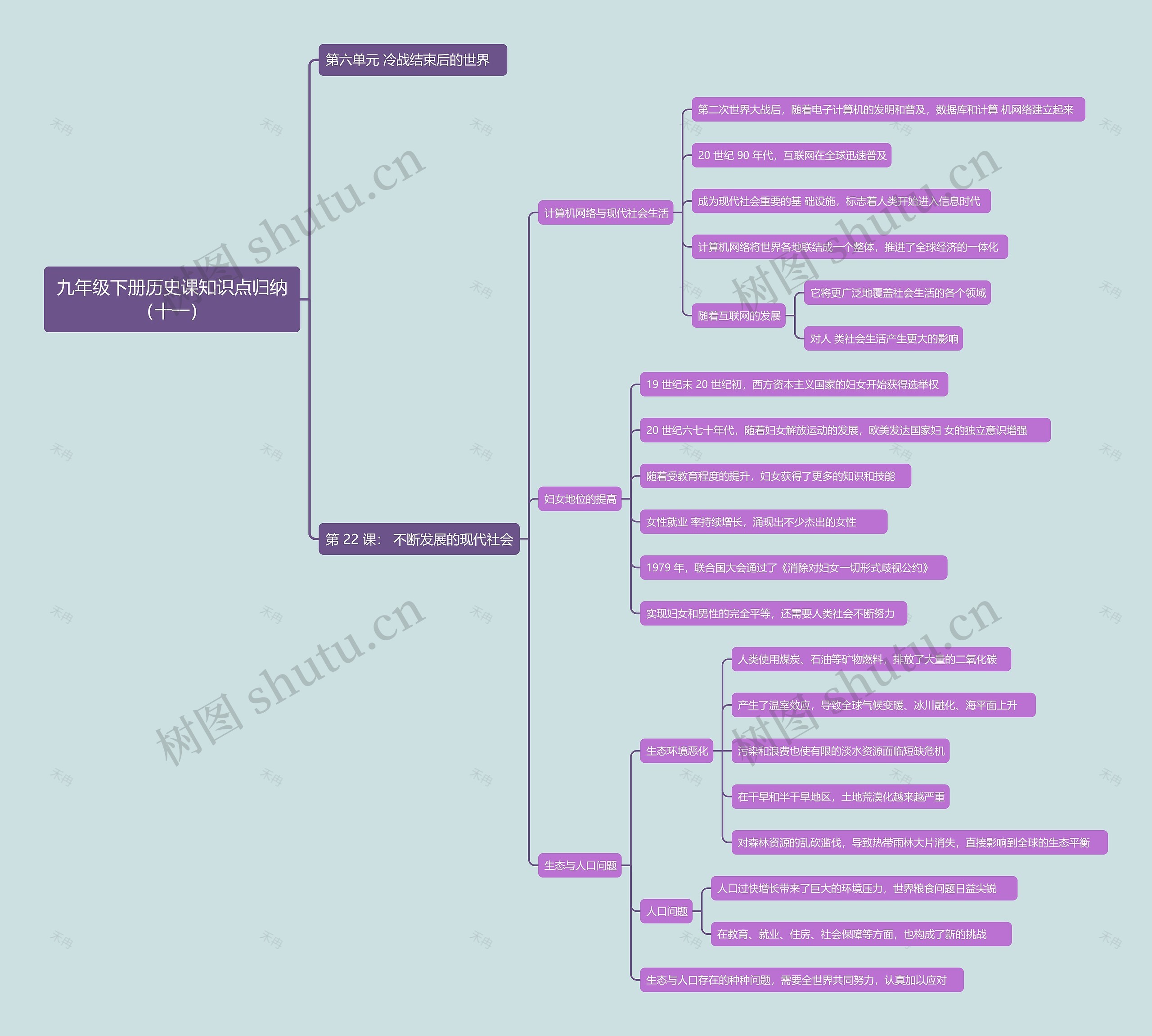 九年级下册历史课知识点归纳（十一）思维导图