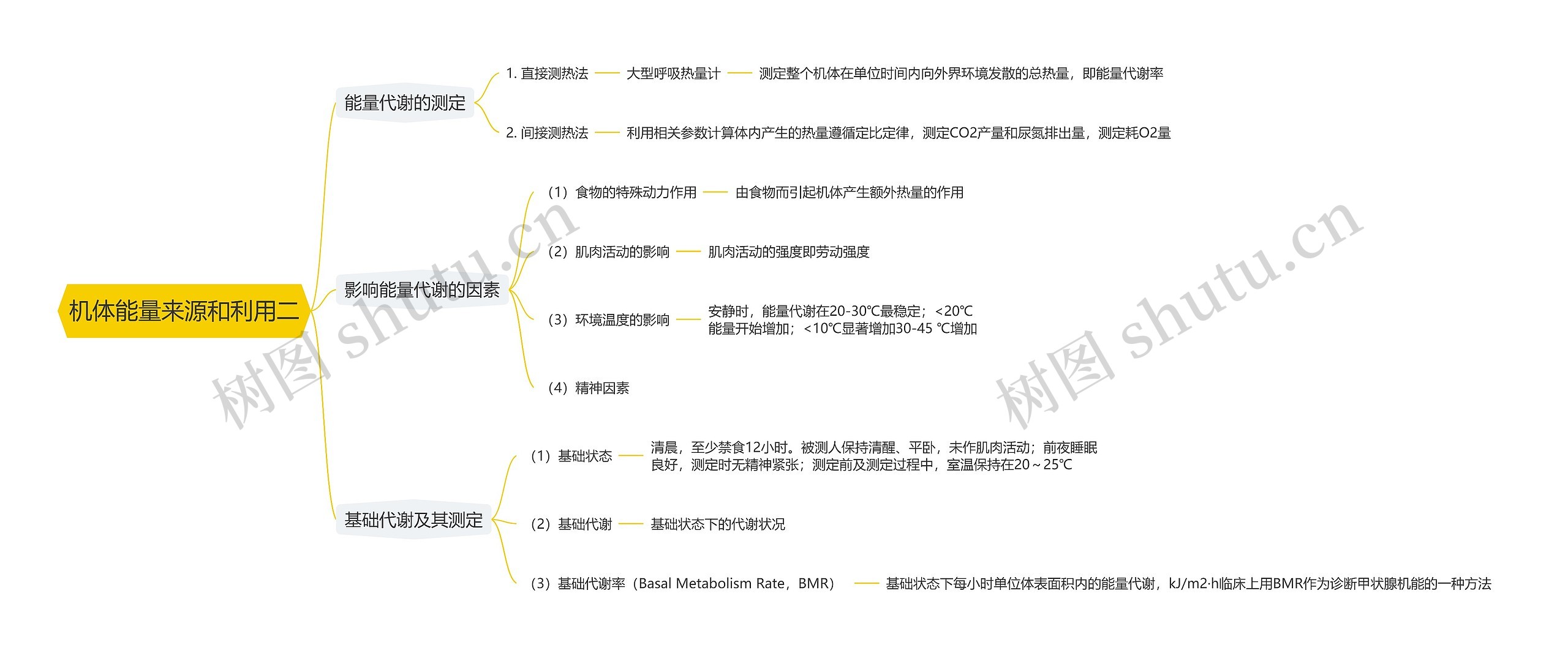 机体能量来源和利用二思维导图