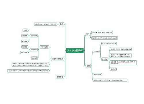 人体心血管系统思维导图
