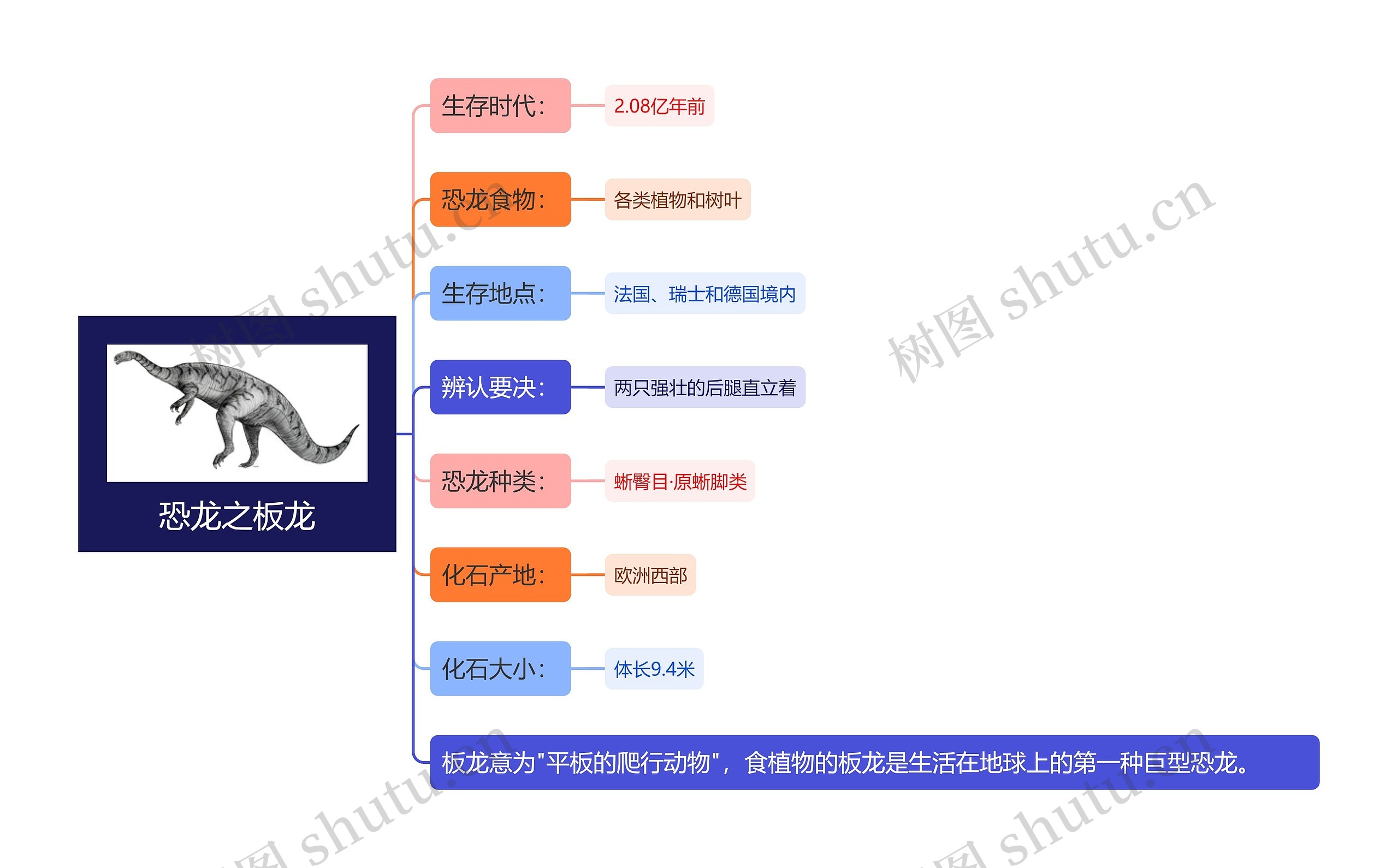 恐龙之板龙思维导图