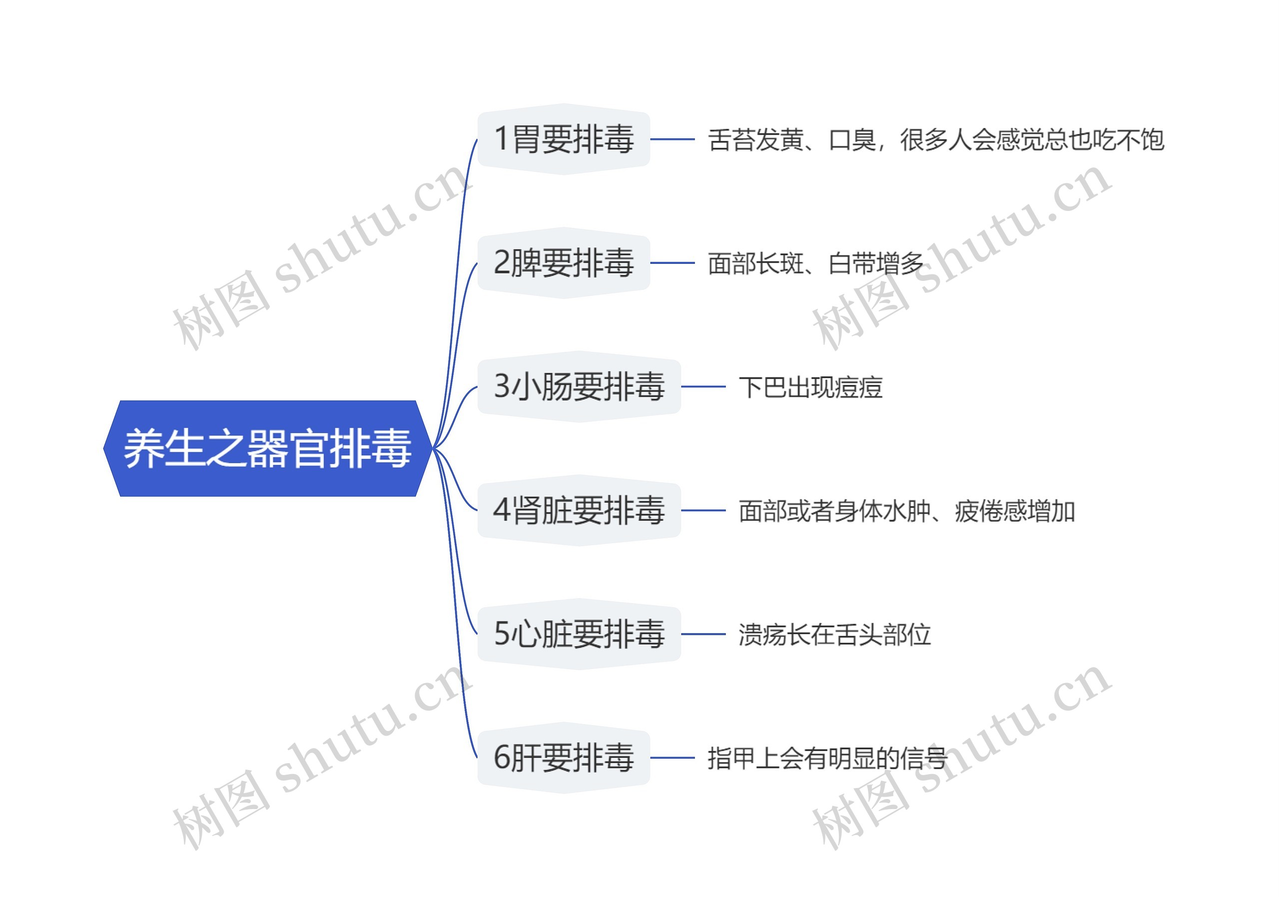 养生之器官排毒思维导图