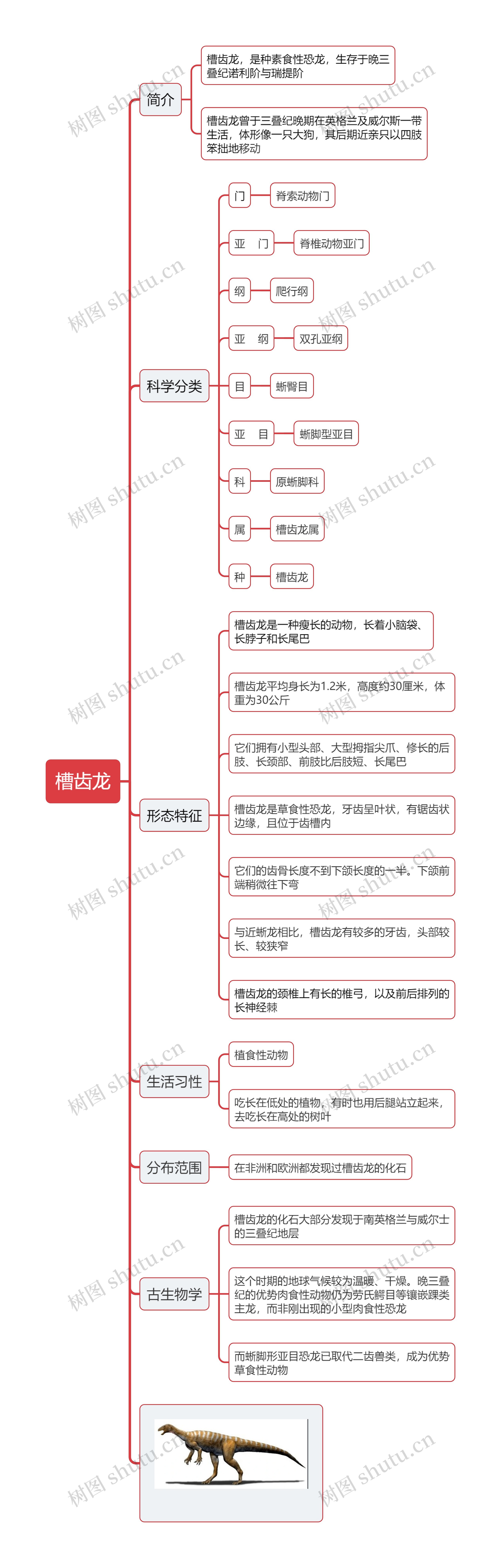 槽齿龙
