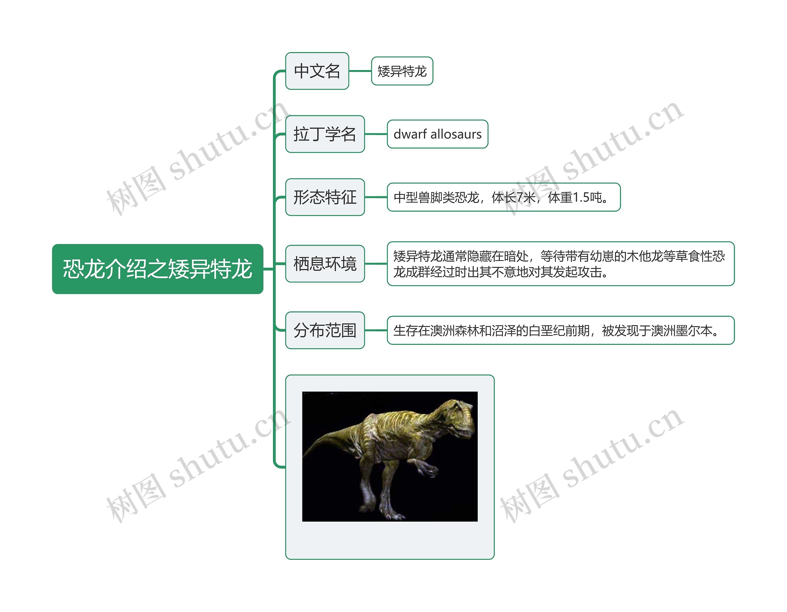 恐龙介绍之矮异特龙思维导图