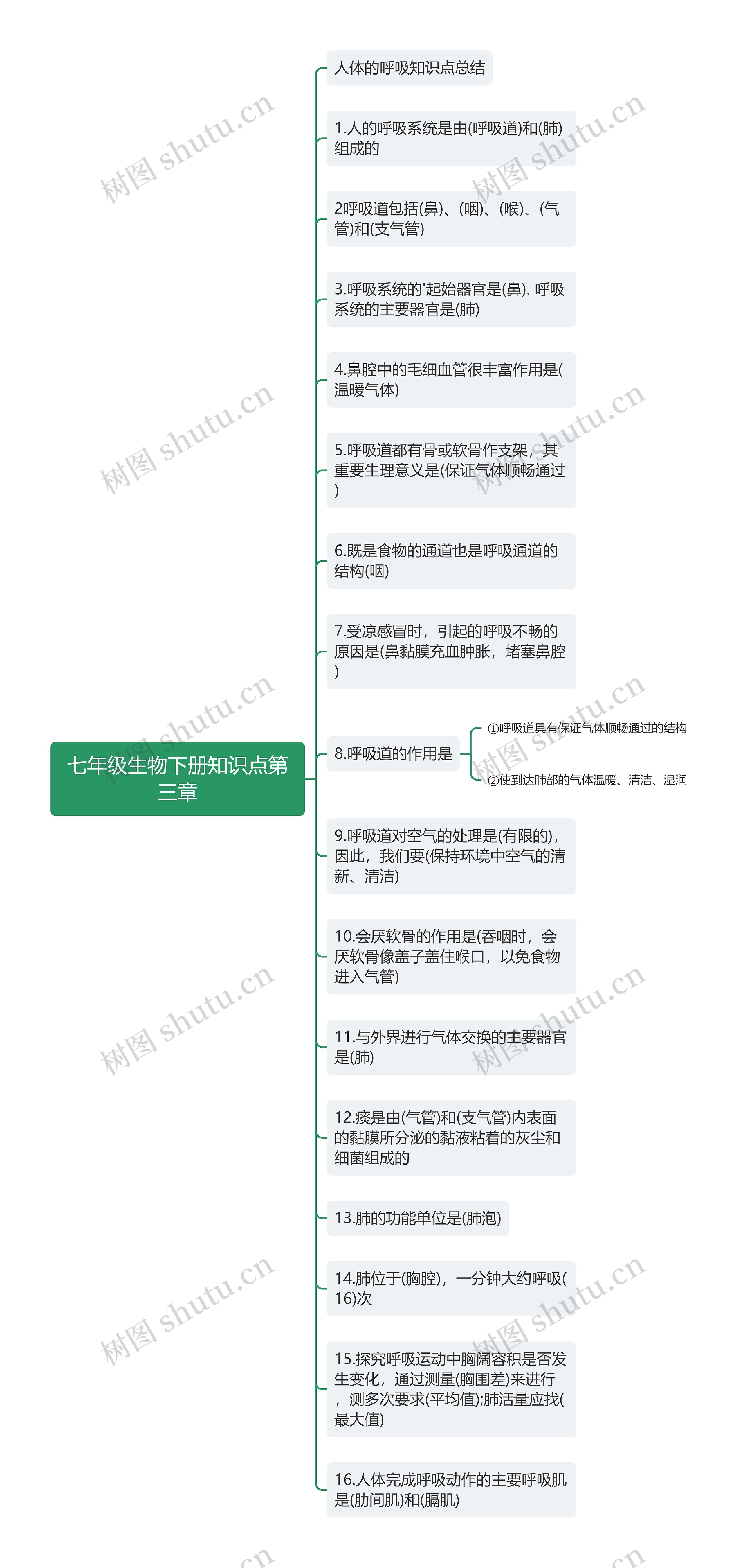 生物七年级下册第三章思维导图