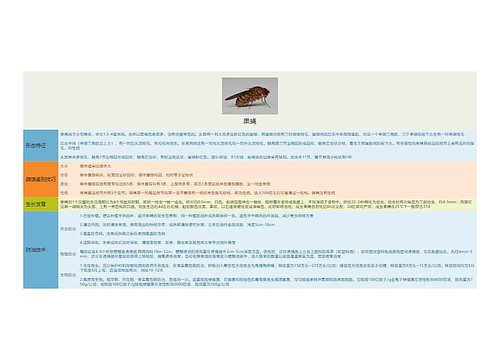 果蝇思维导图