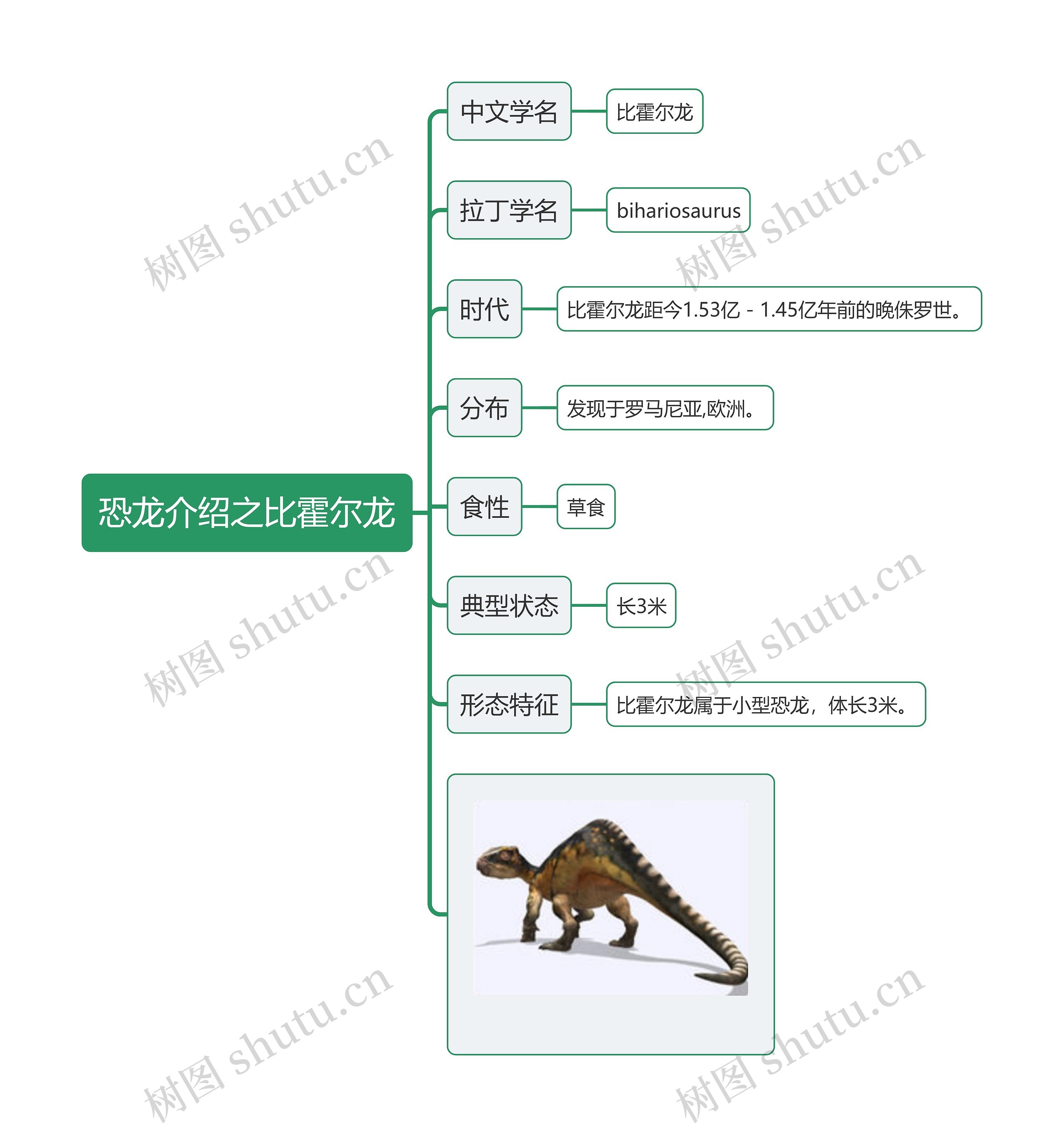 恐龙介绍之比霍尔龙思维导图