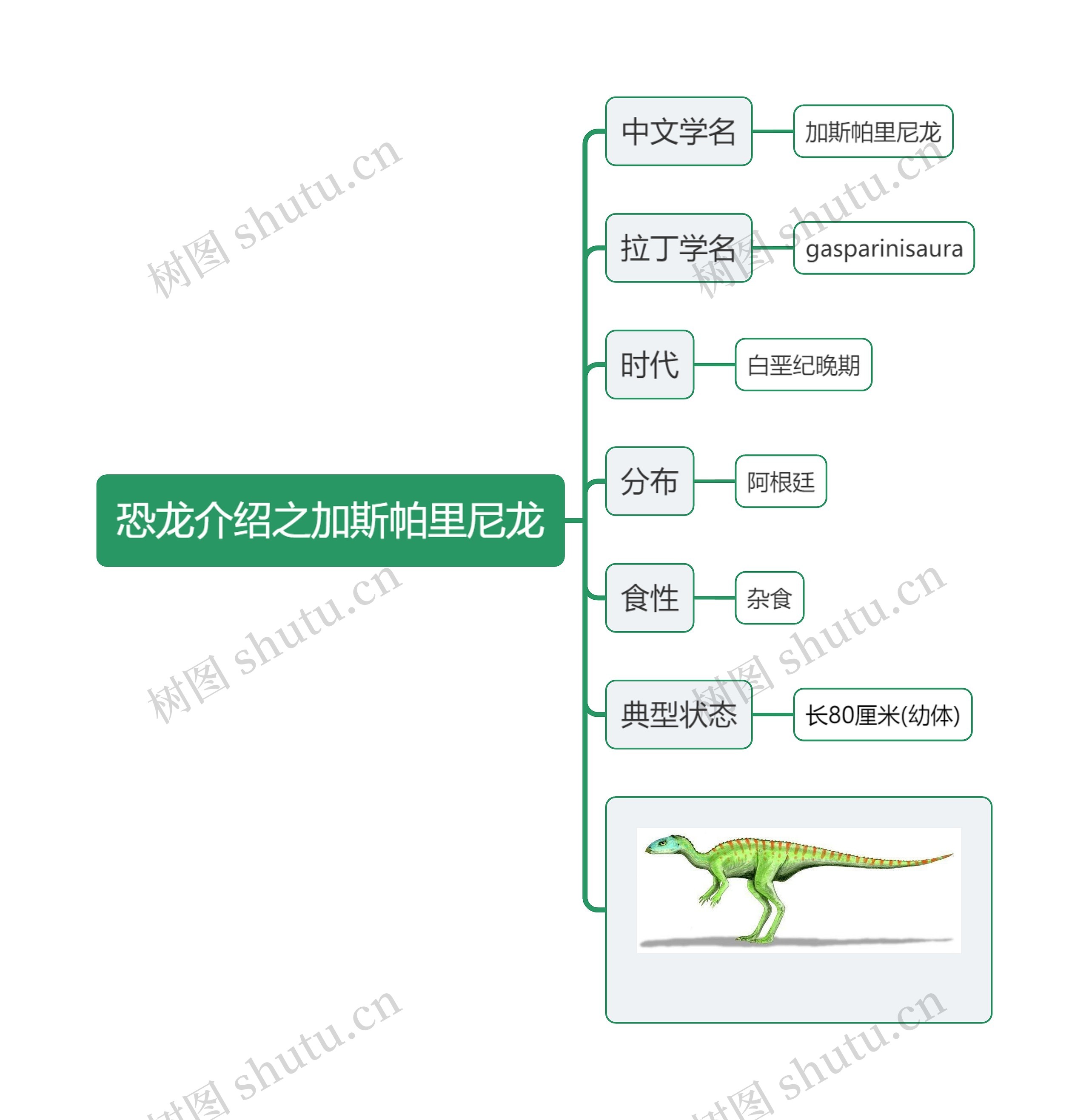 恐龙介绍之加斯帕里尼龙思维导图