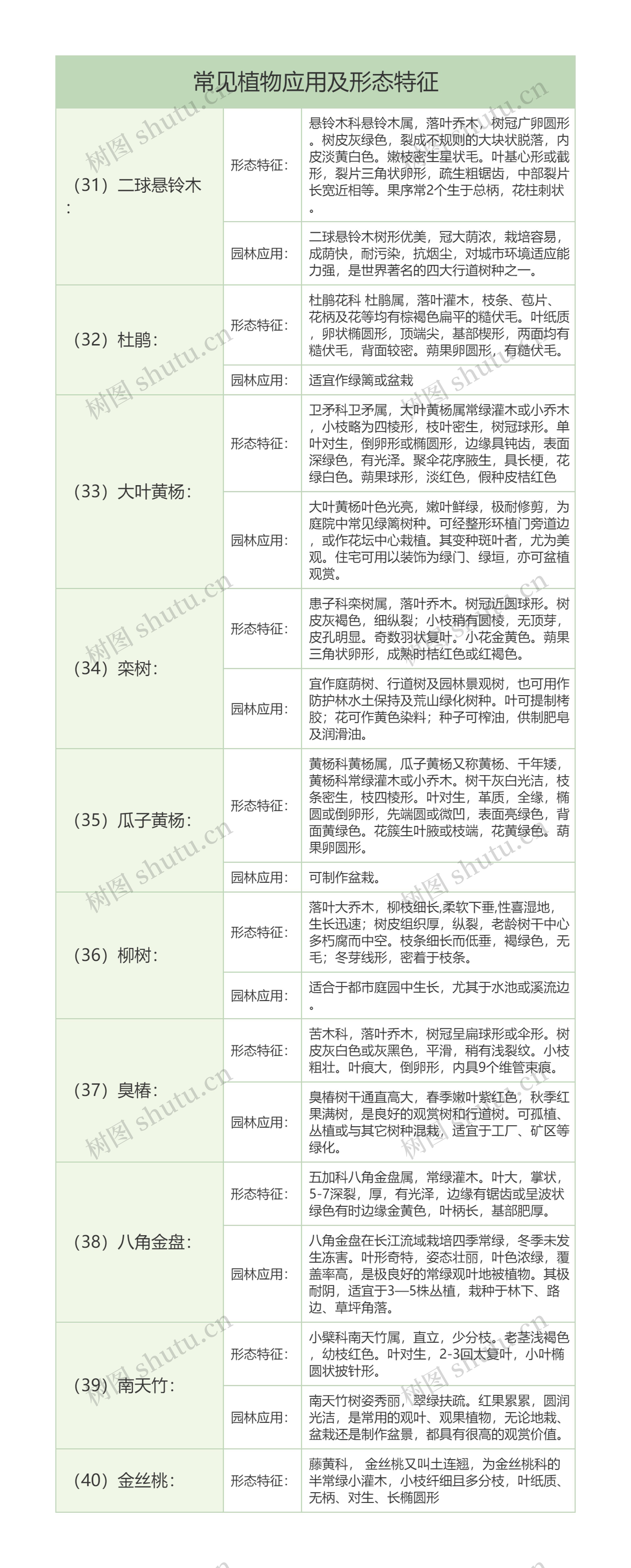 生物知识杜鹃等常见植物应用及形态特征树形表格思维导图