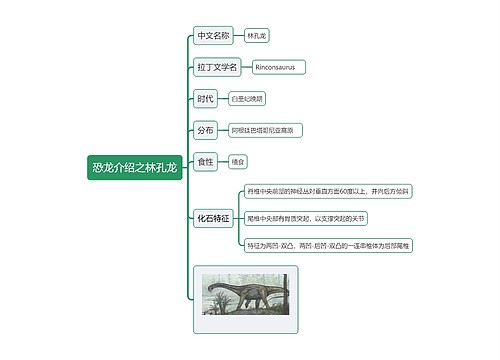 恐龙介绍之林孔龙思维导图